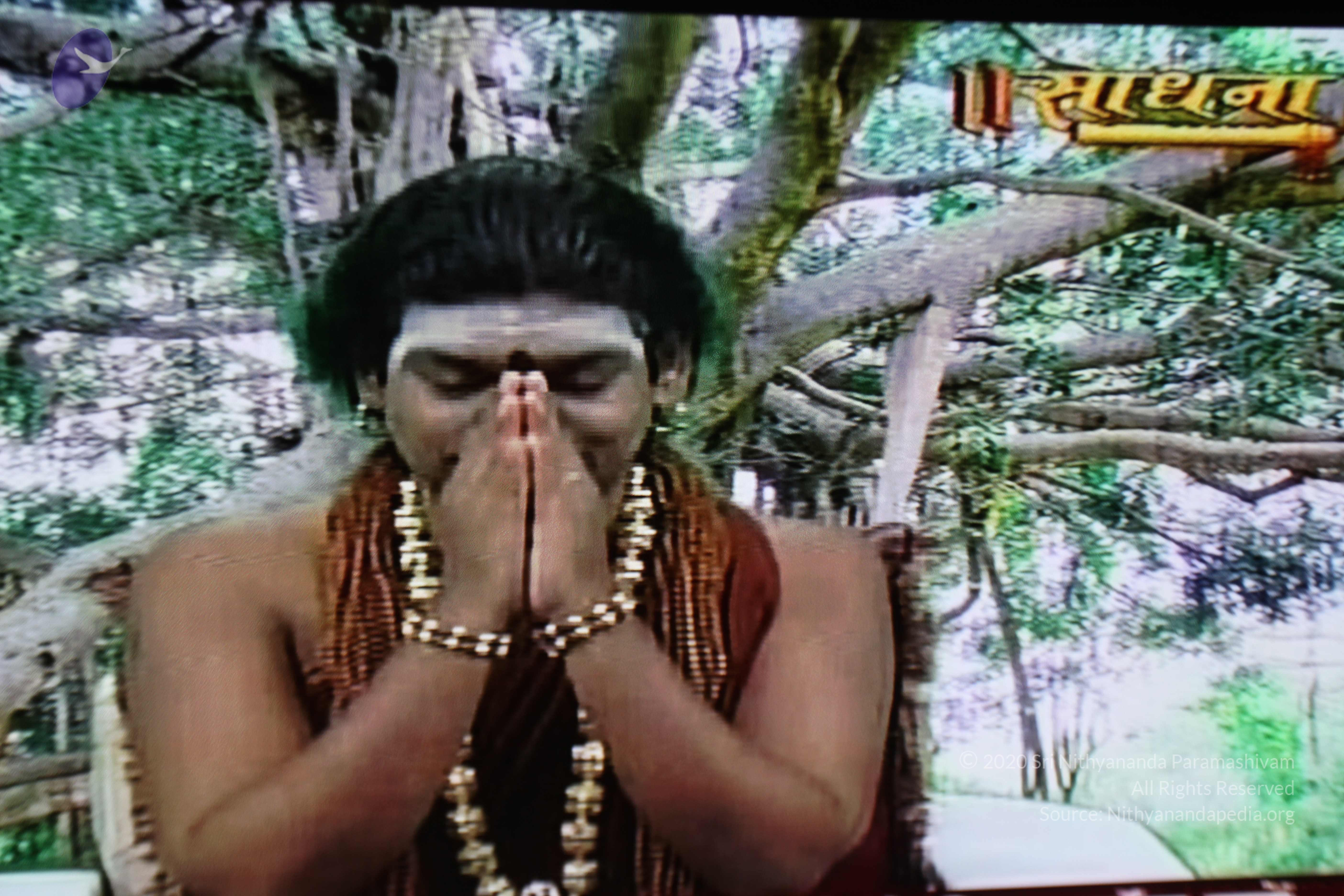 20130426_Photo_1001_IMG_9524_CMP_WM