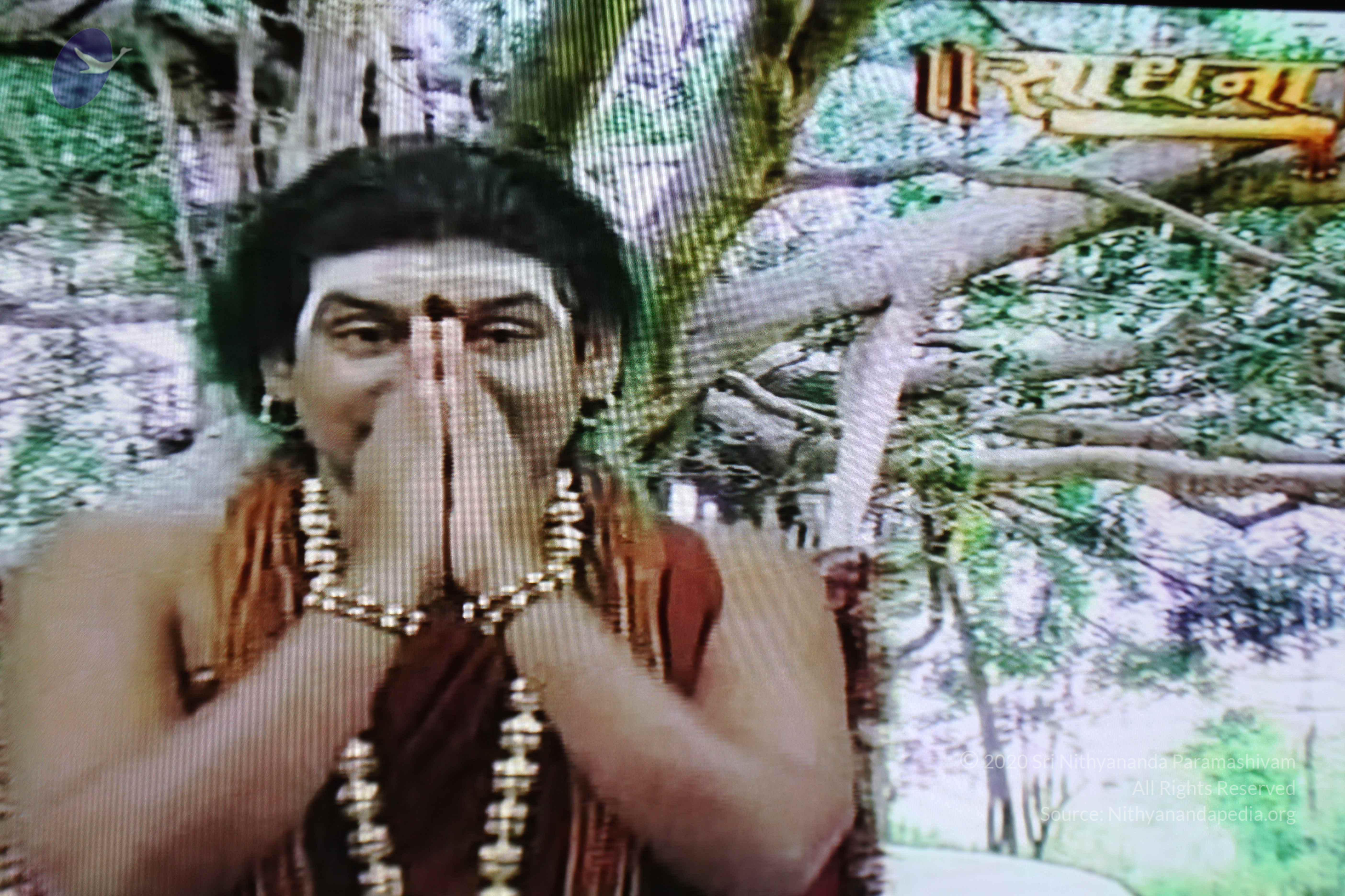 20130426_Photo_1002_IMG_9522_CMP_WM