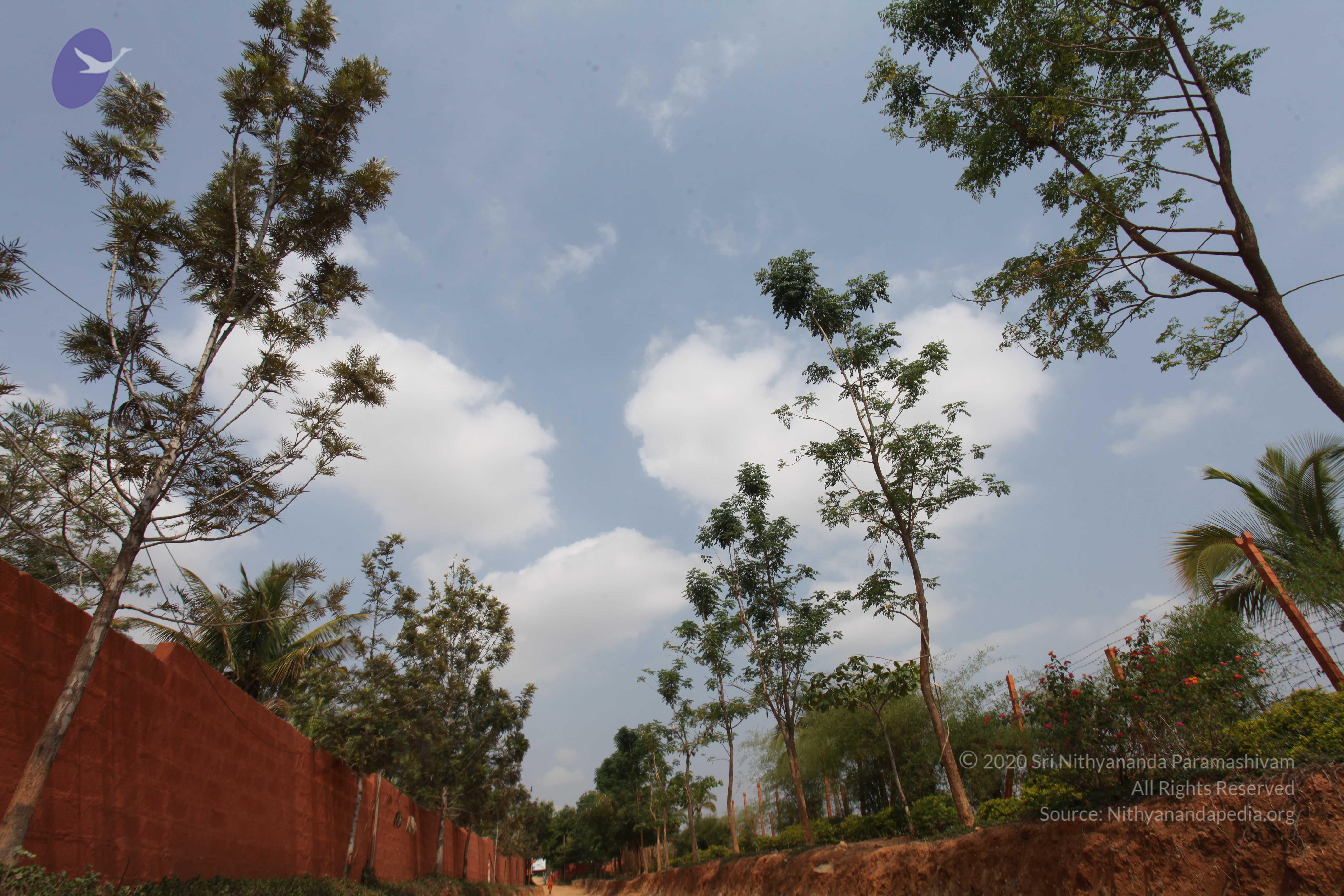 20130426_Photo_1001_IMG_9526_CMP_WM