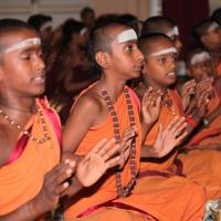 20130426_Photo_1003_IMG_9466_CMP_WM