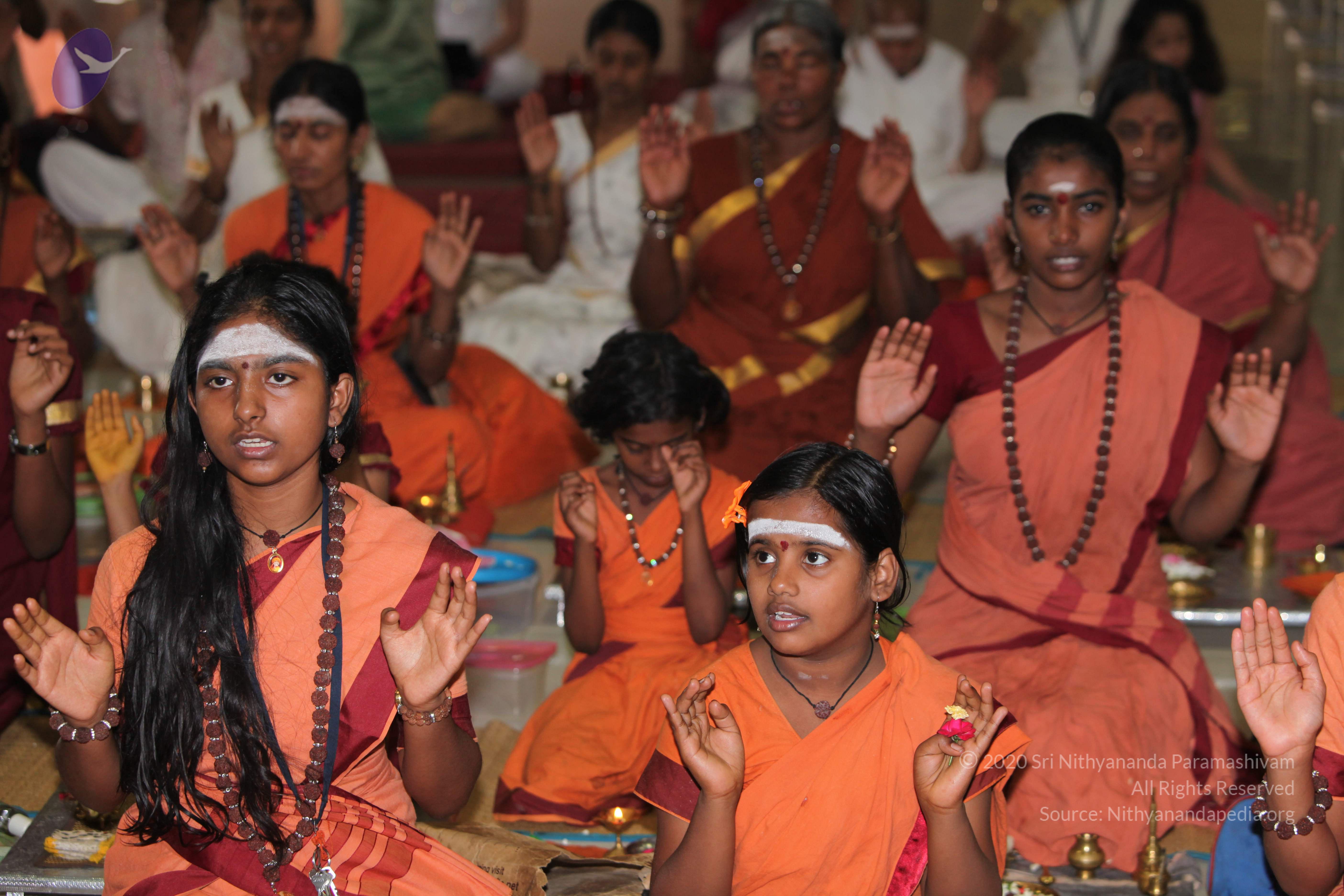 20130426_Photo_1004_IMG_9461_CMP_WM