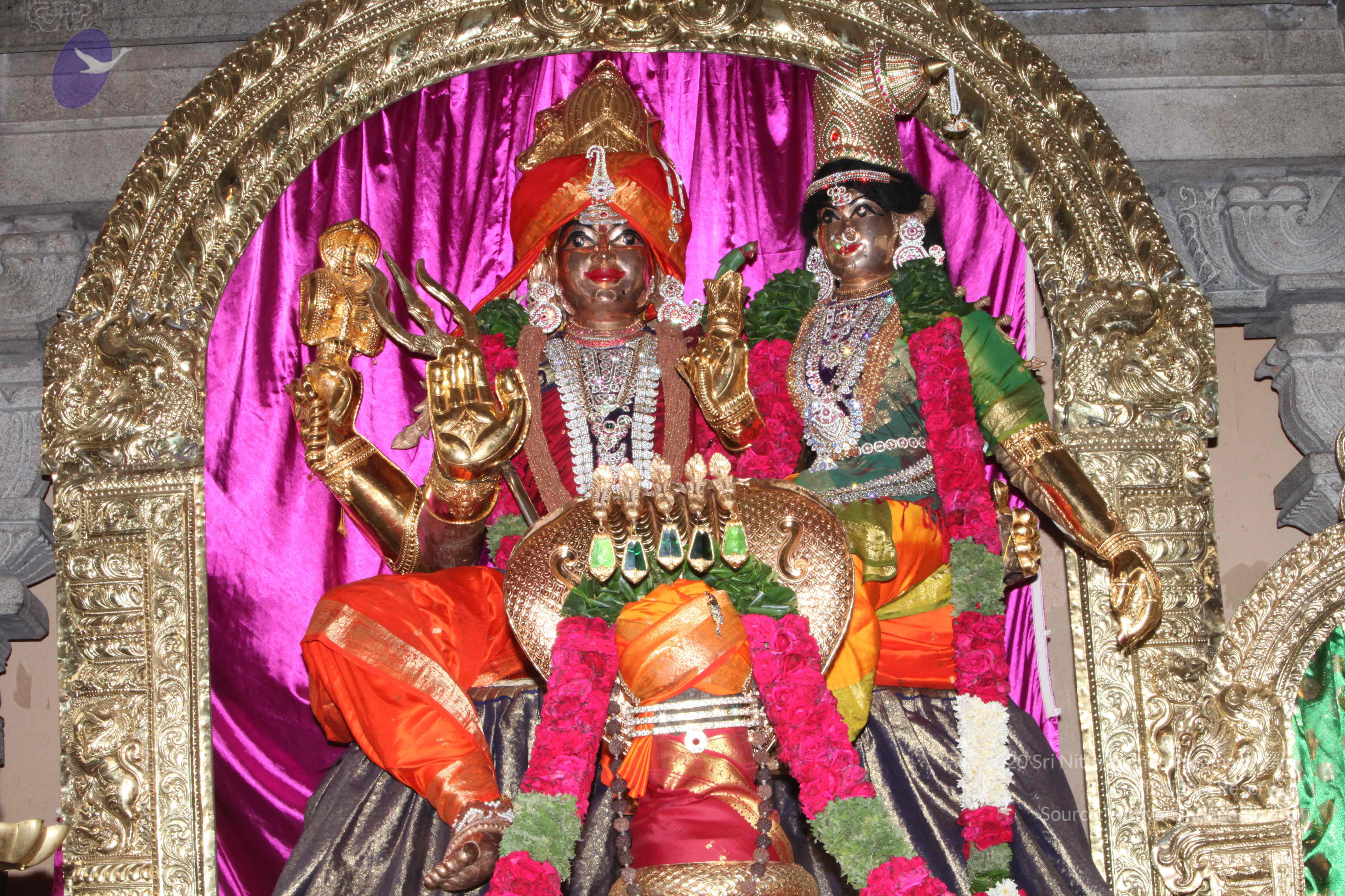 20130426_Photo_1008_IMG_9477_CMP_WM