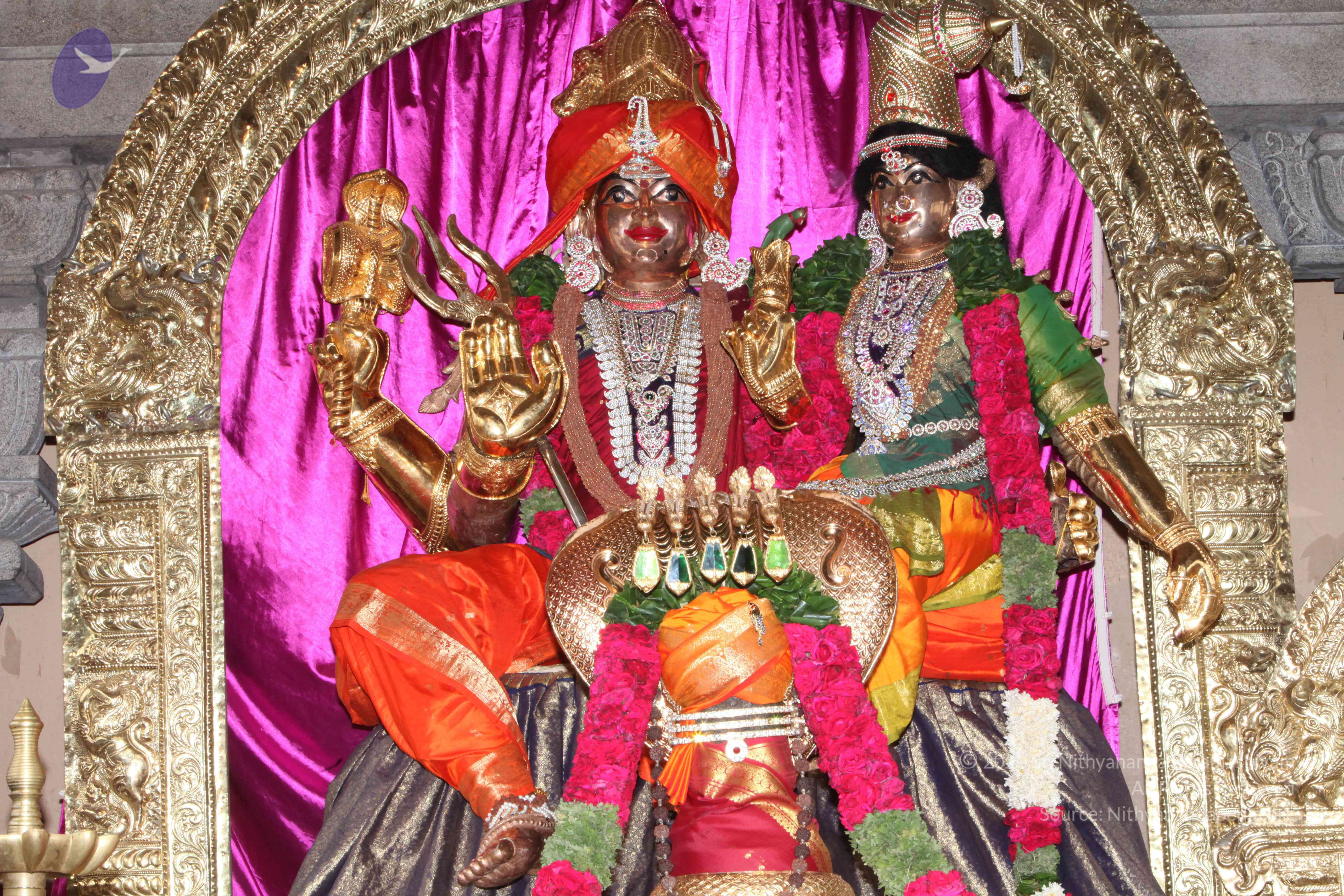 20130426_Photo_1010_IMG_9491_CMP_WM