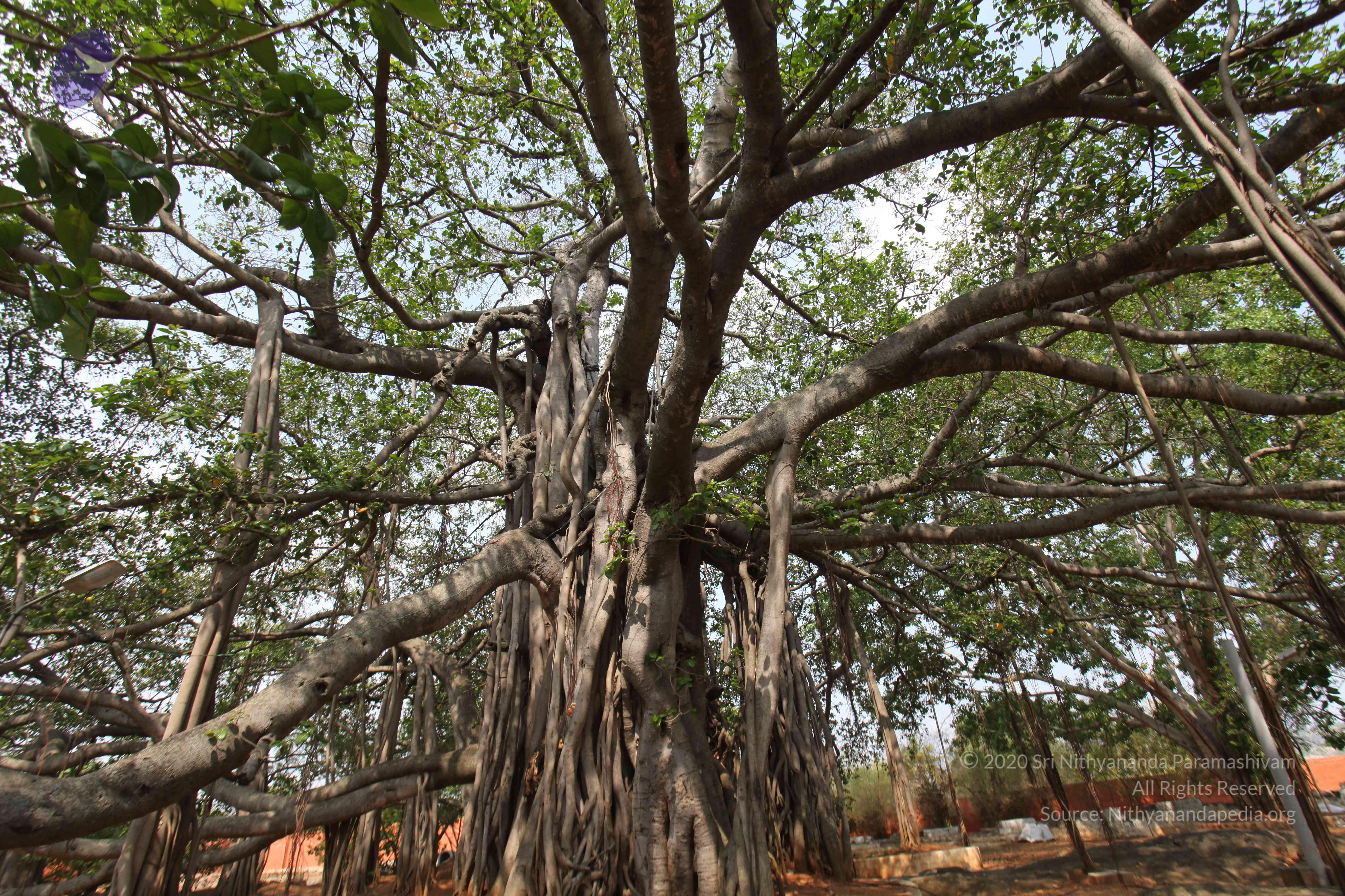 20130426_Photo_1000_IMG_9532_CMP_WM