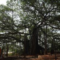 20130426_Photo_1001_IMG_9567_CMP_WM