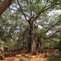 20130426_Photo_1003_IMG_9549_CMP_WM