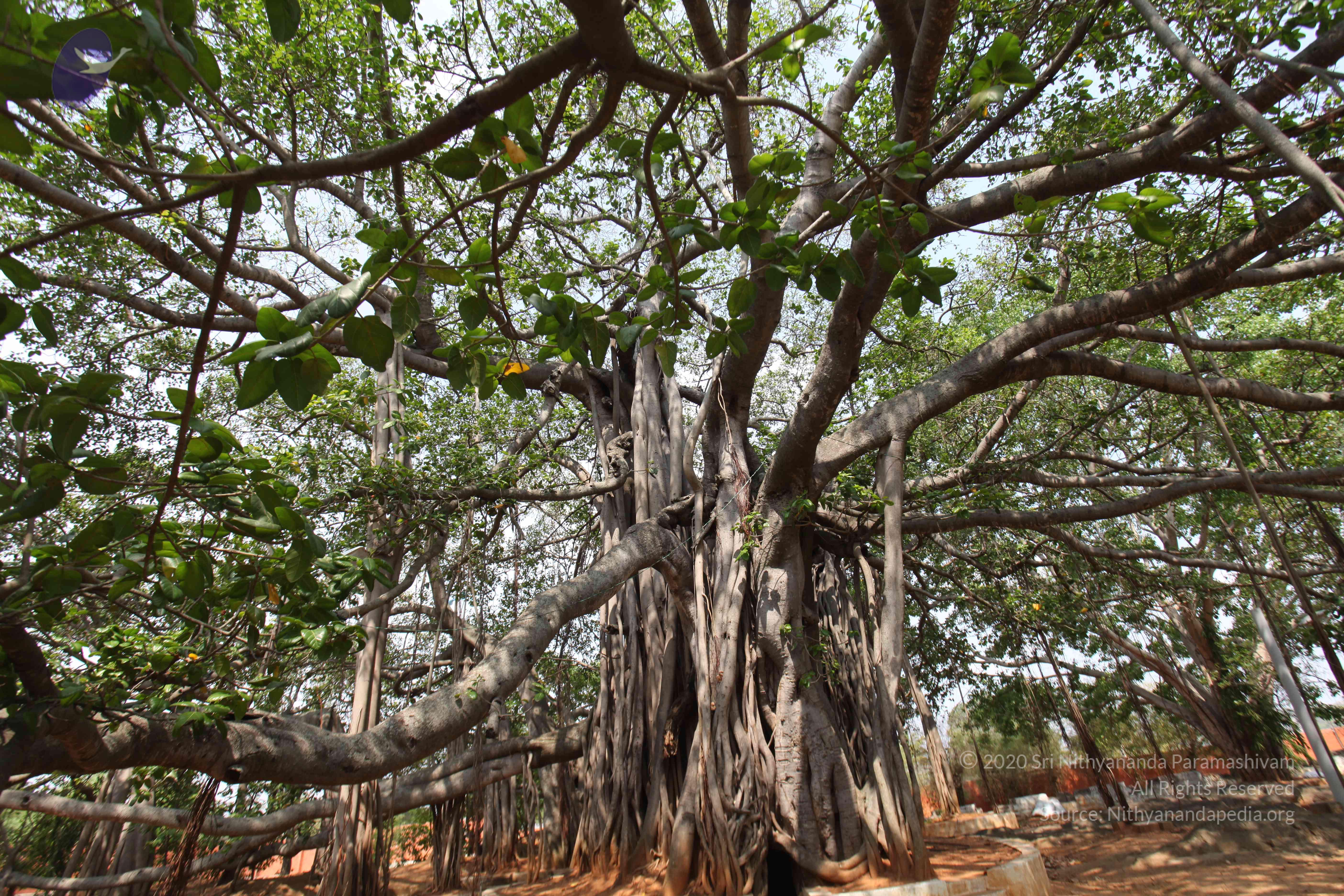 20130426_Photo_1004_IMG_9555_CMP_WM