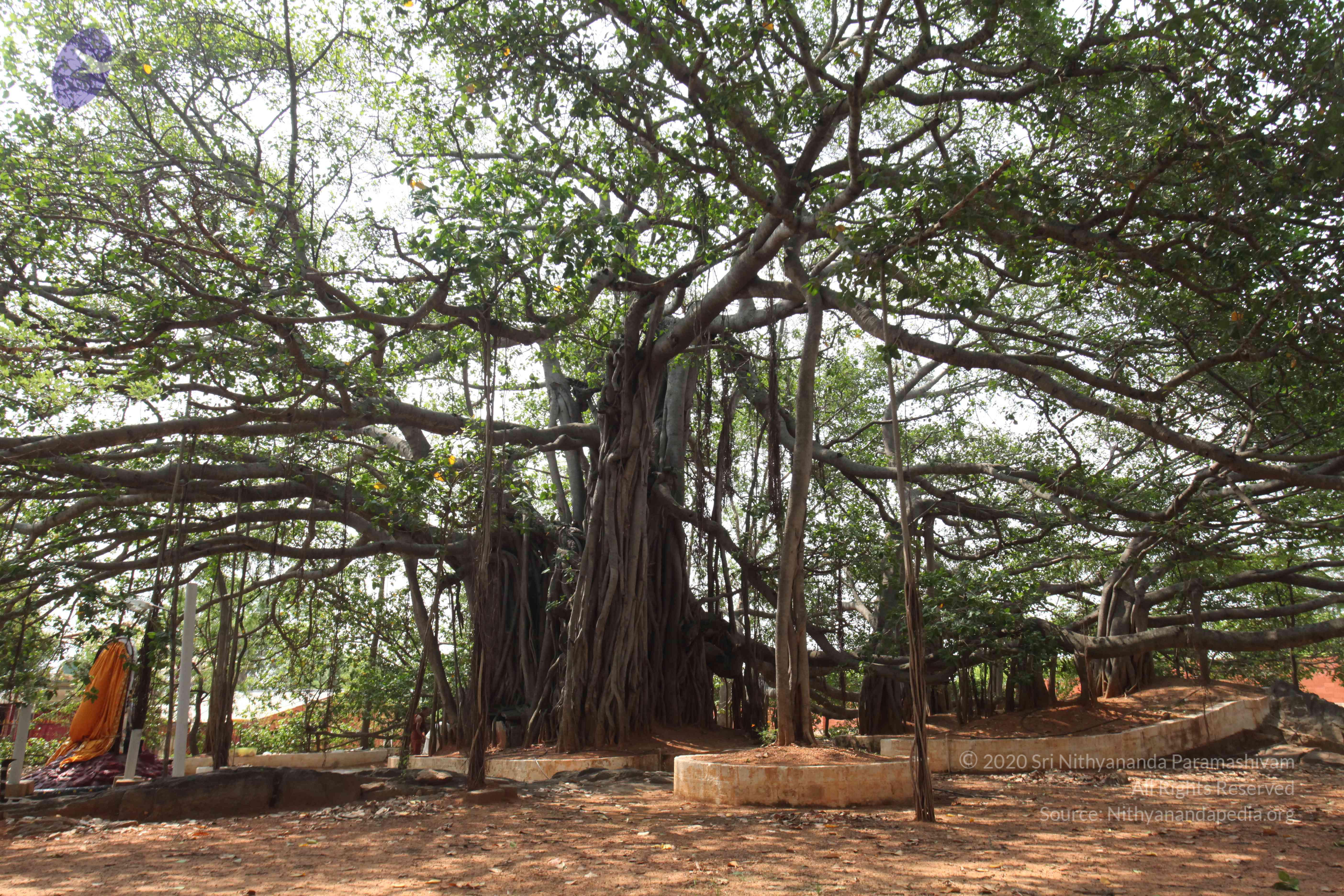 20130426_Photo_1006_IMG_9568_CMP_WM