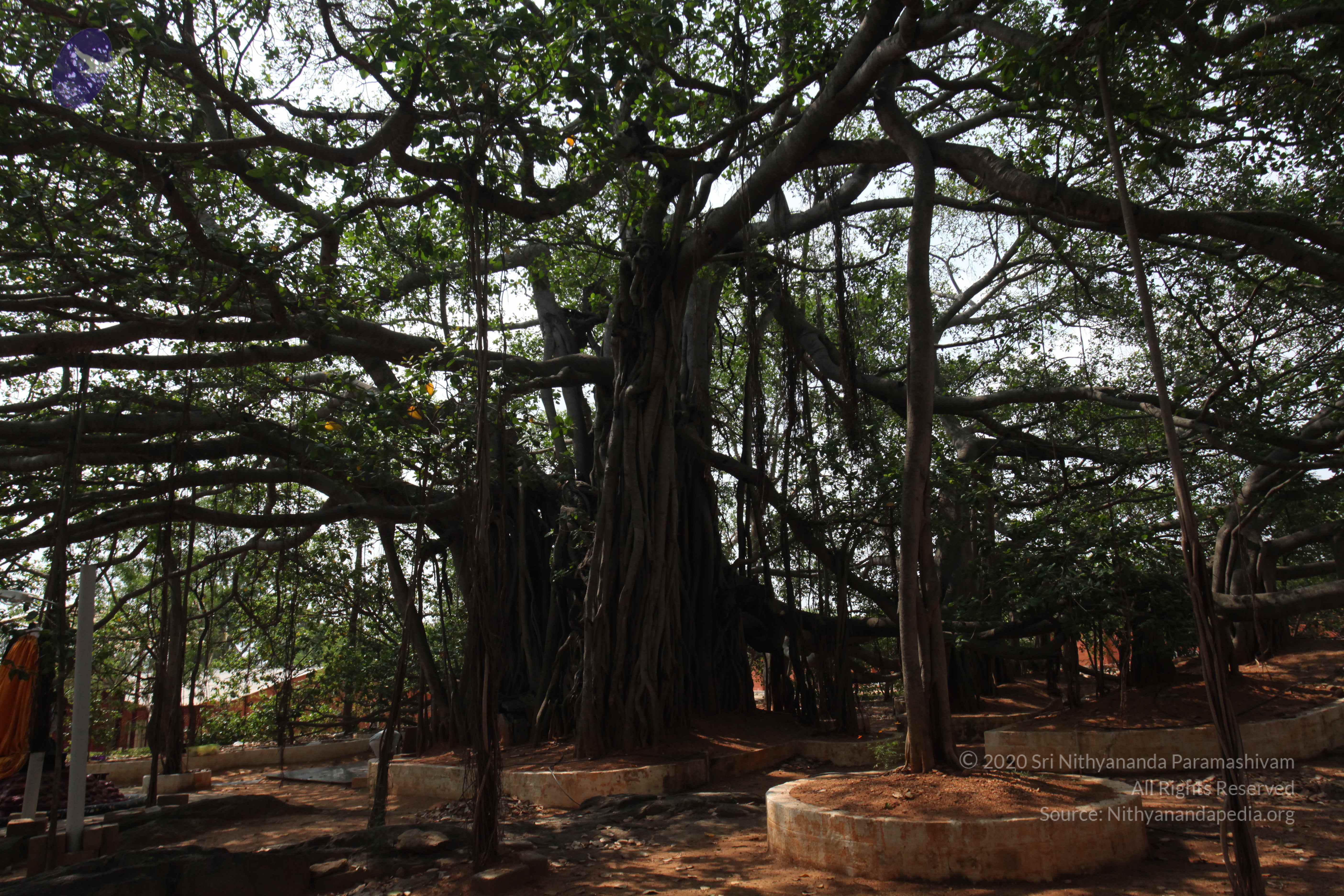 20130426_Photo_1008_IMG_9565_CMP_WM