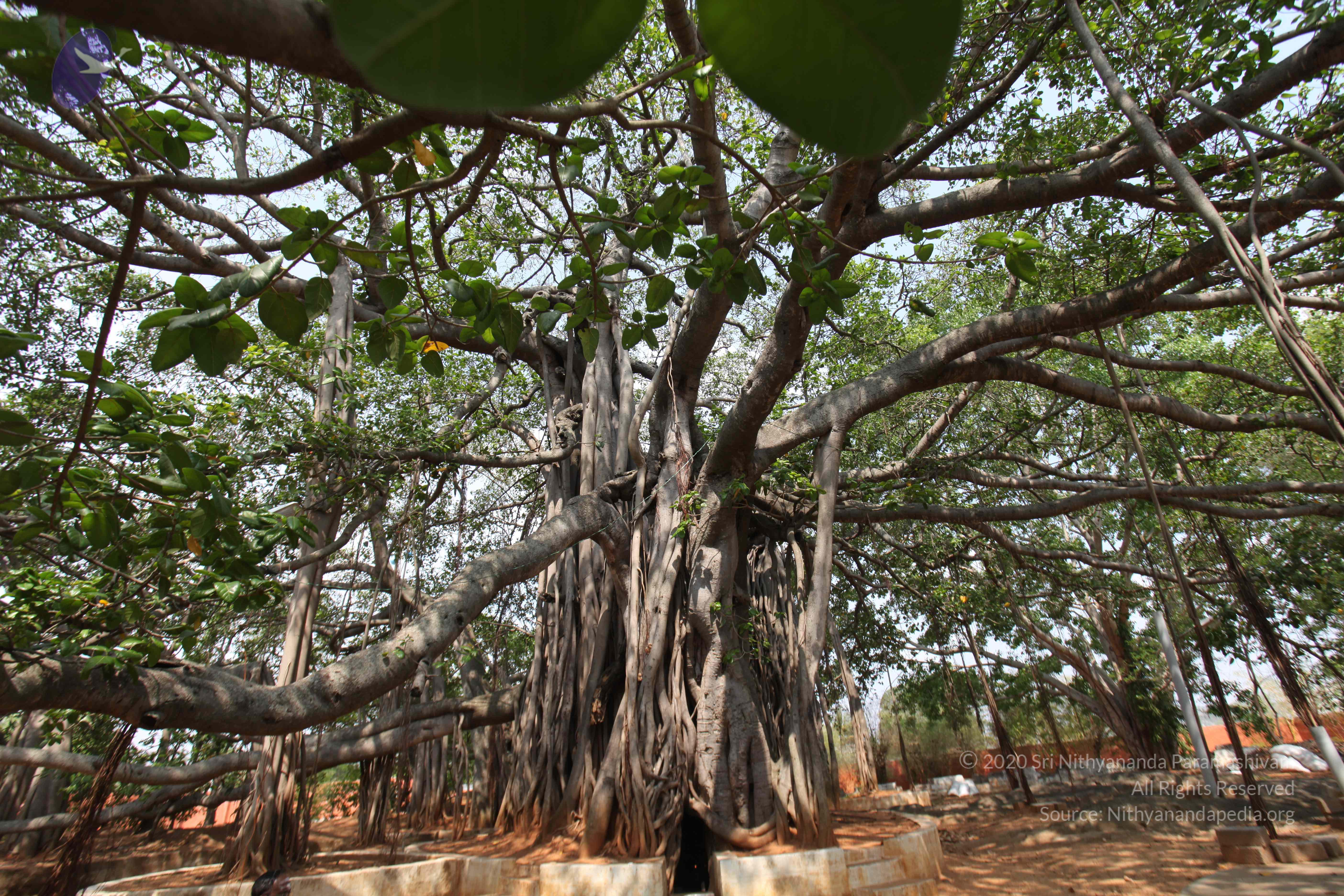 20130426_Photo_1009_IMG_9557_CMP_WM