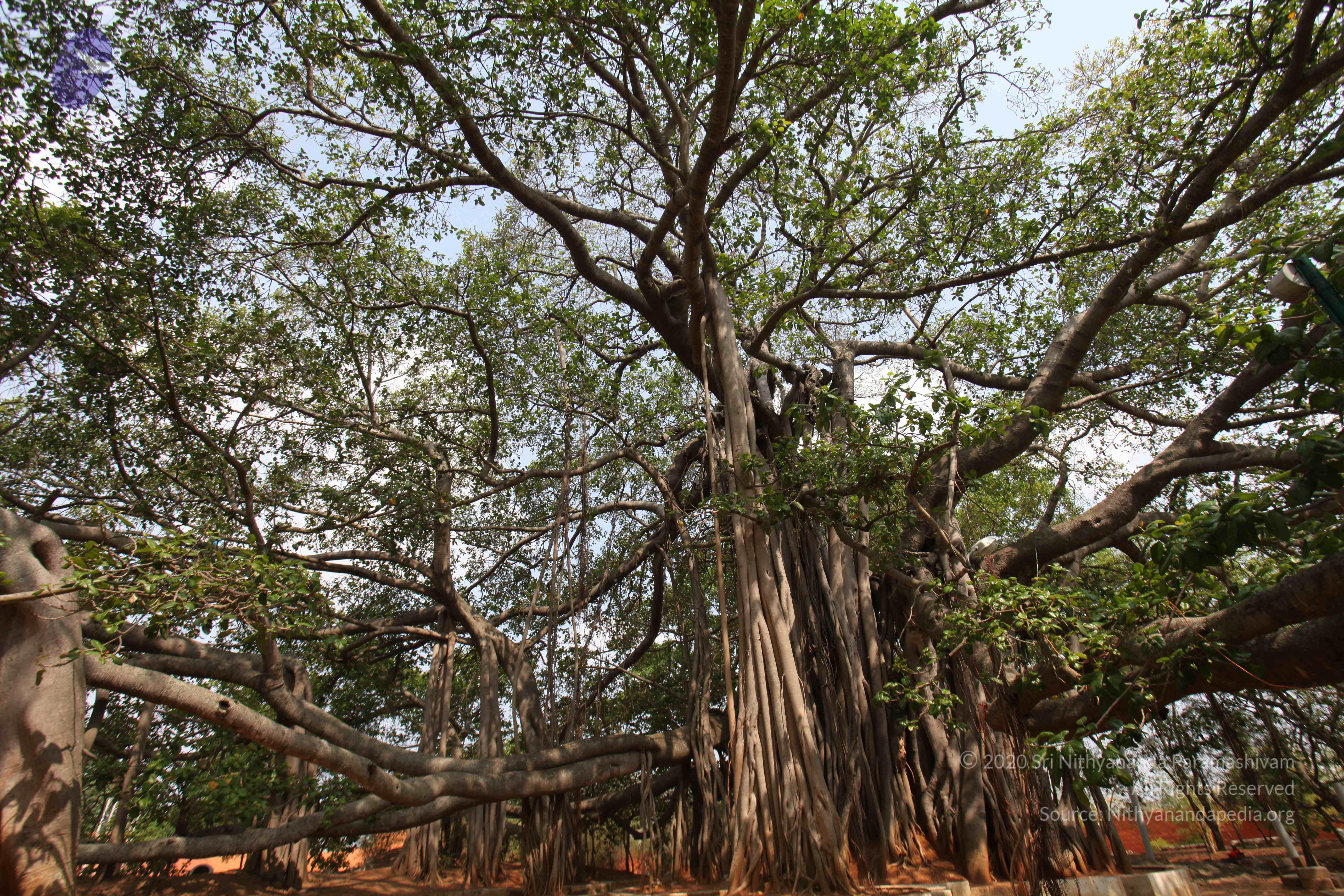 20130426_Photo_1010_IMG_9548_CMP_WM