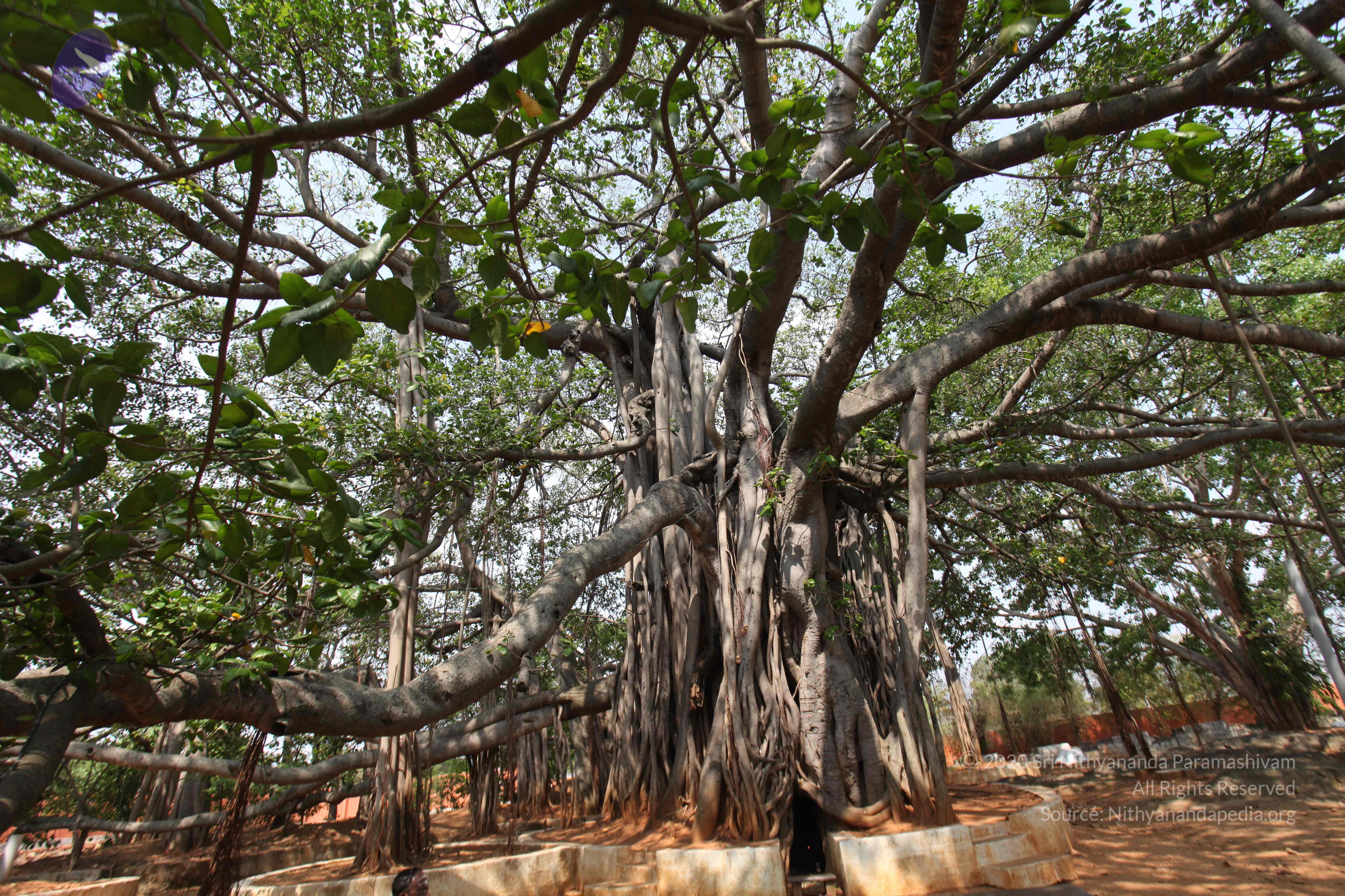 20130426_Photo_1011_IMG_9554_CMP_WM