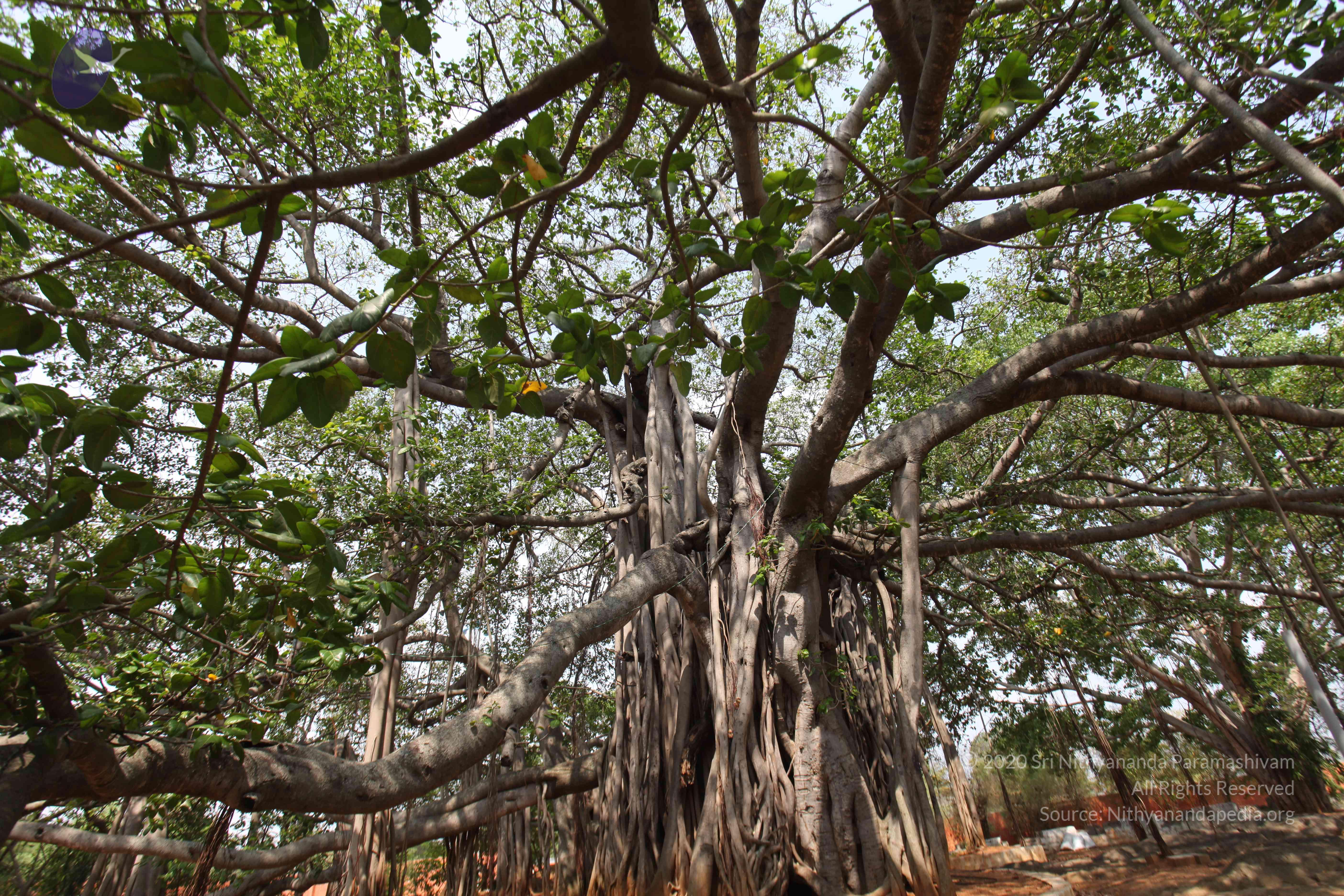 20130426_Photo_1015_IMG_9556_CMP_WM