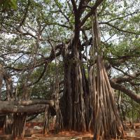 20130426_Photo_1017_IMG_9531_CMP_WM