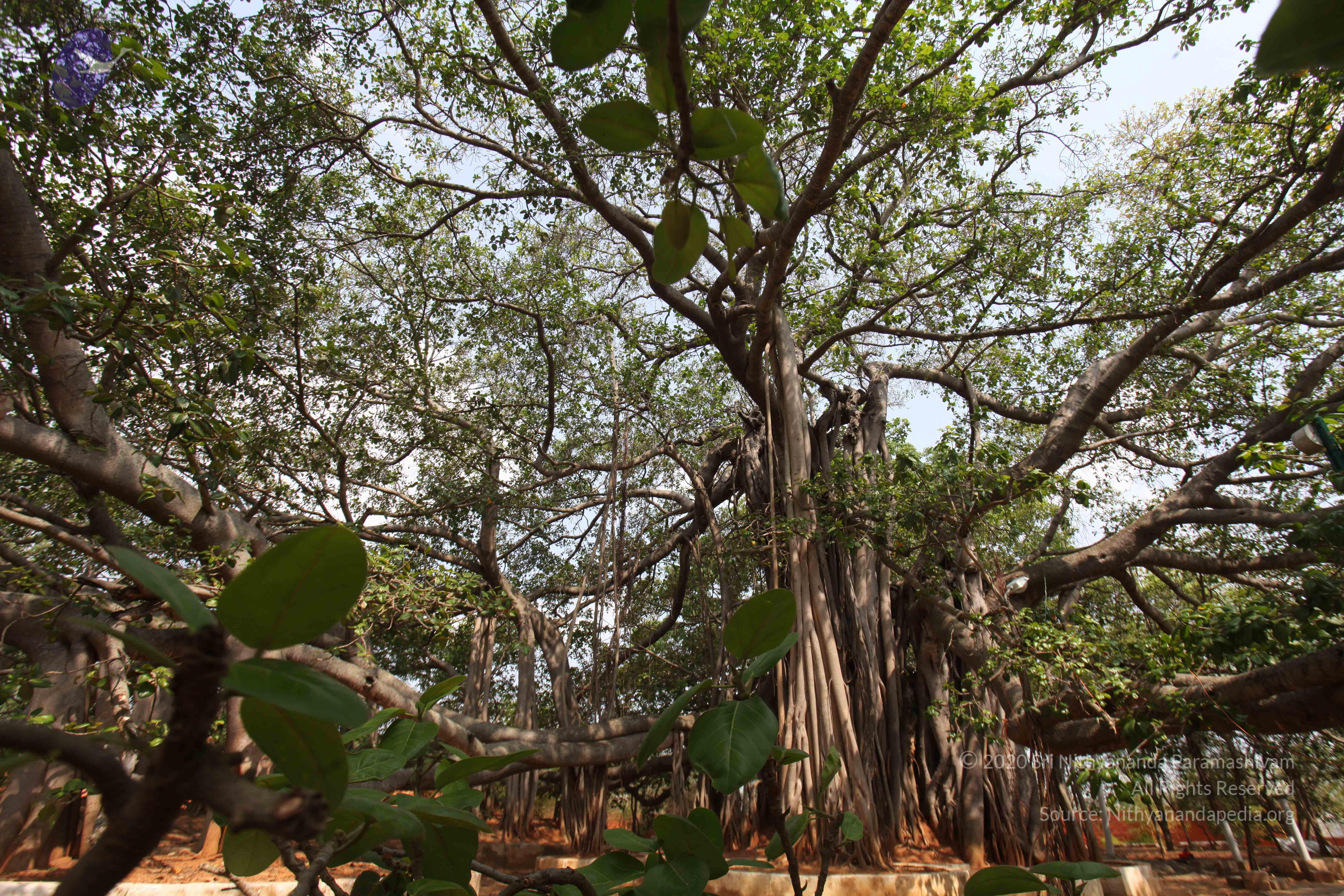 20130426_Photo_1018_IMG_9553_CMP_WM