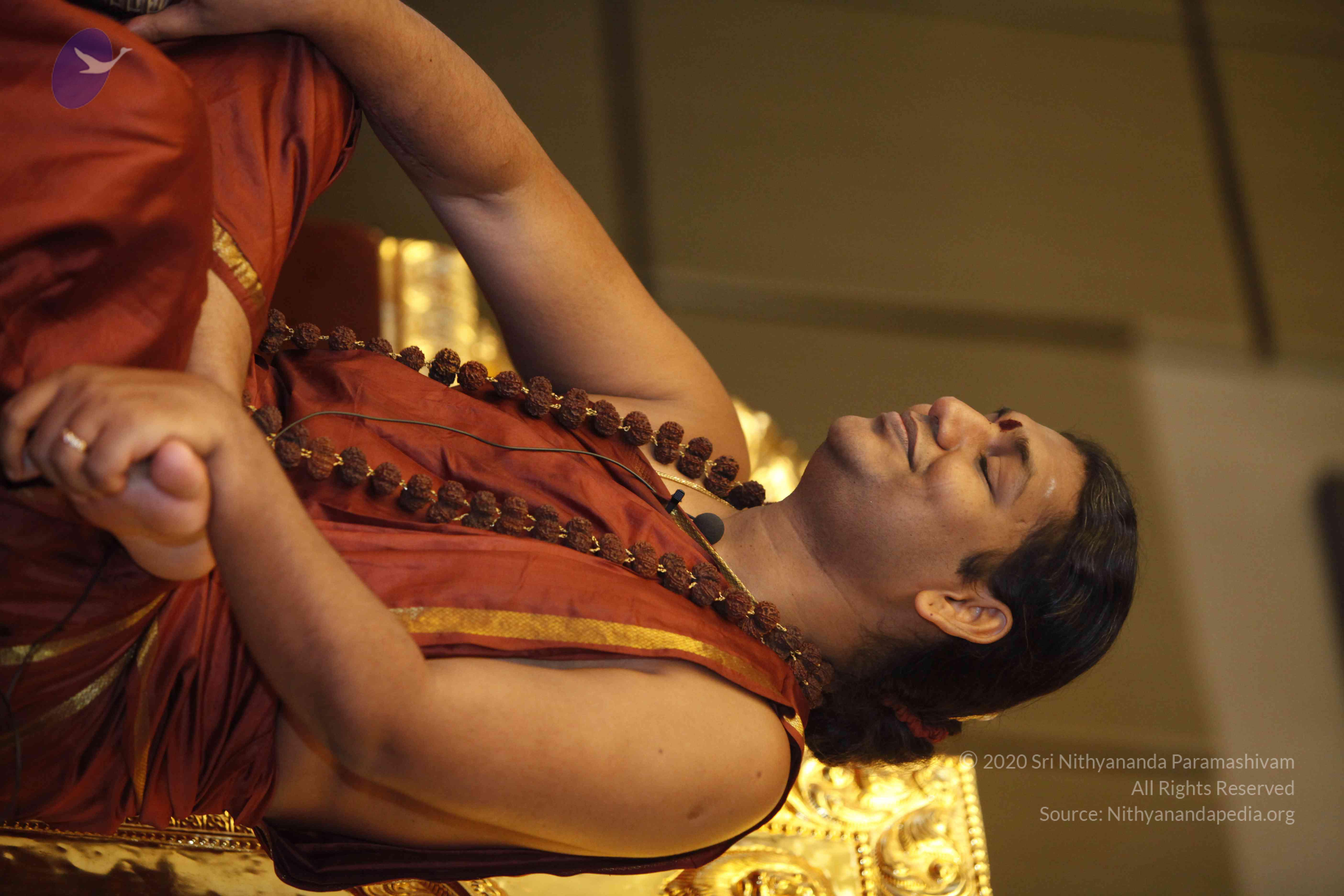 20131220_Photo_1001__MG_7211_CMP_WM