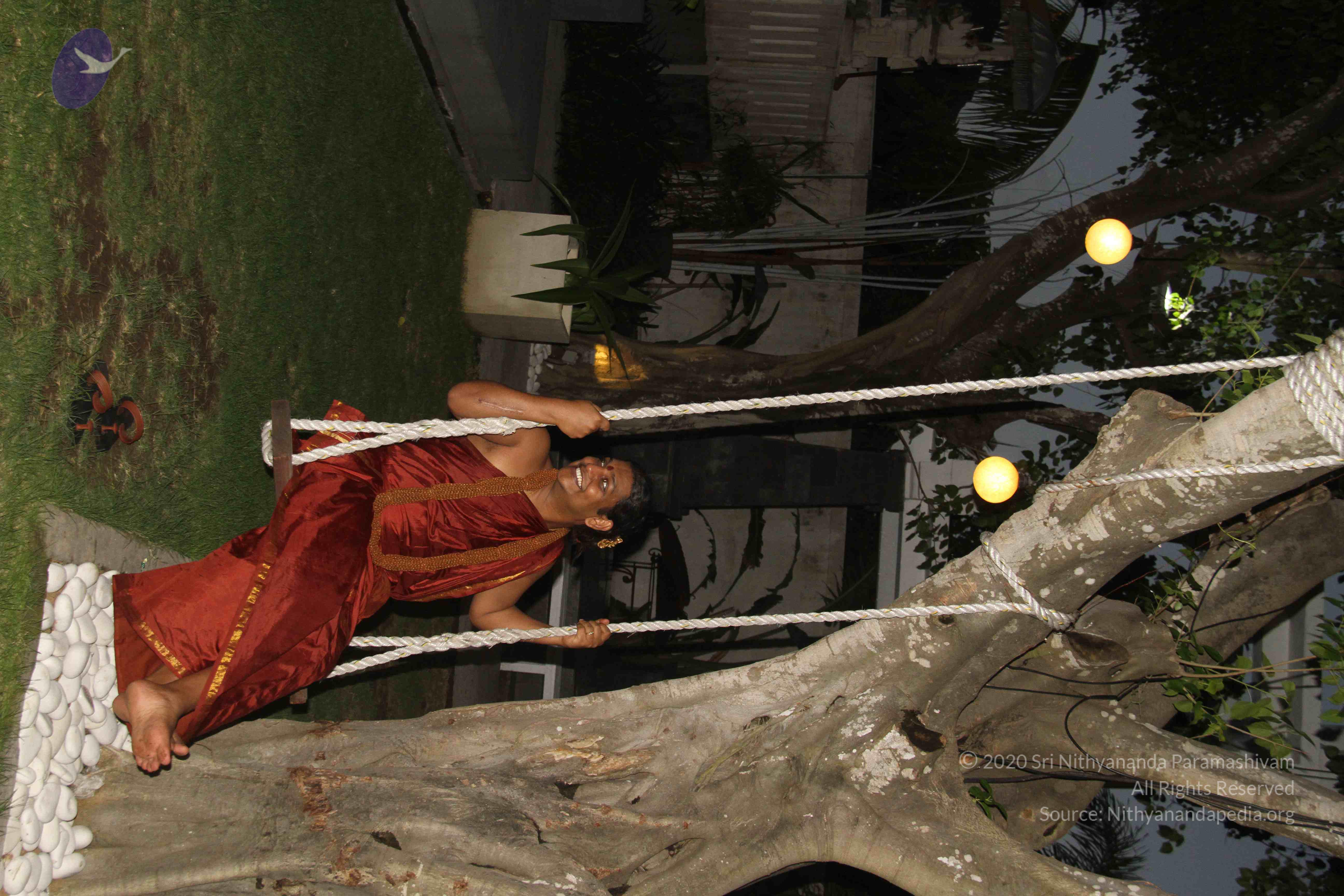 20131220_Photo_1019_IMG_6855_CMP_WM