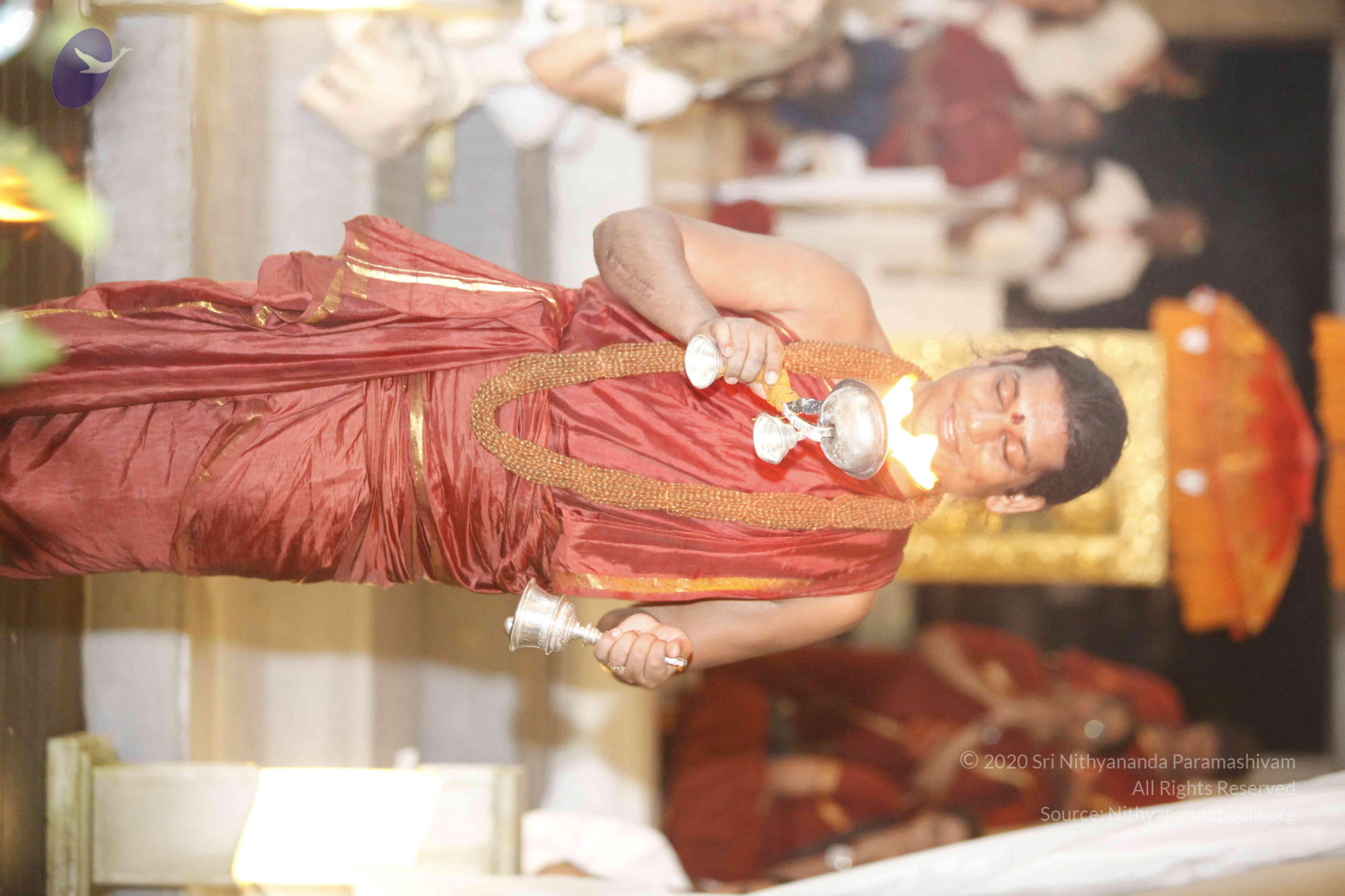 20131220_Photo_1000__MG_7704_CMP_WM