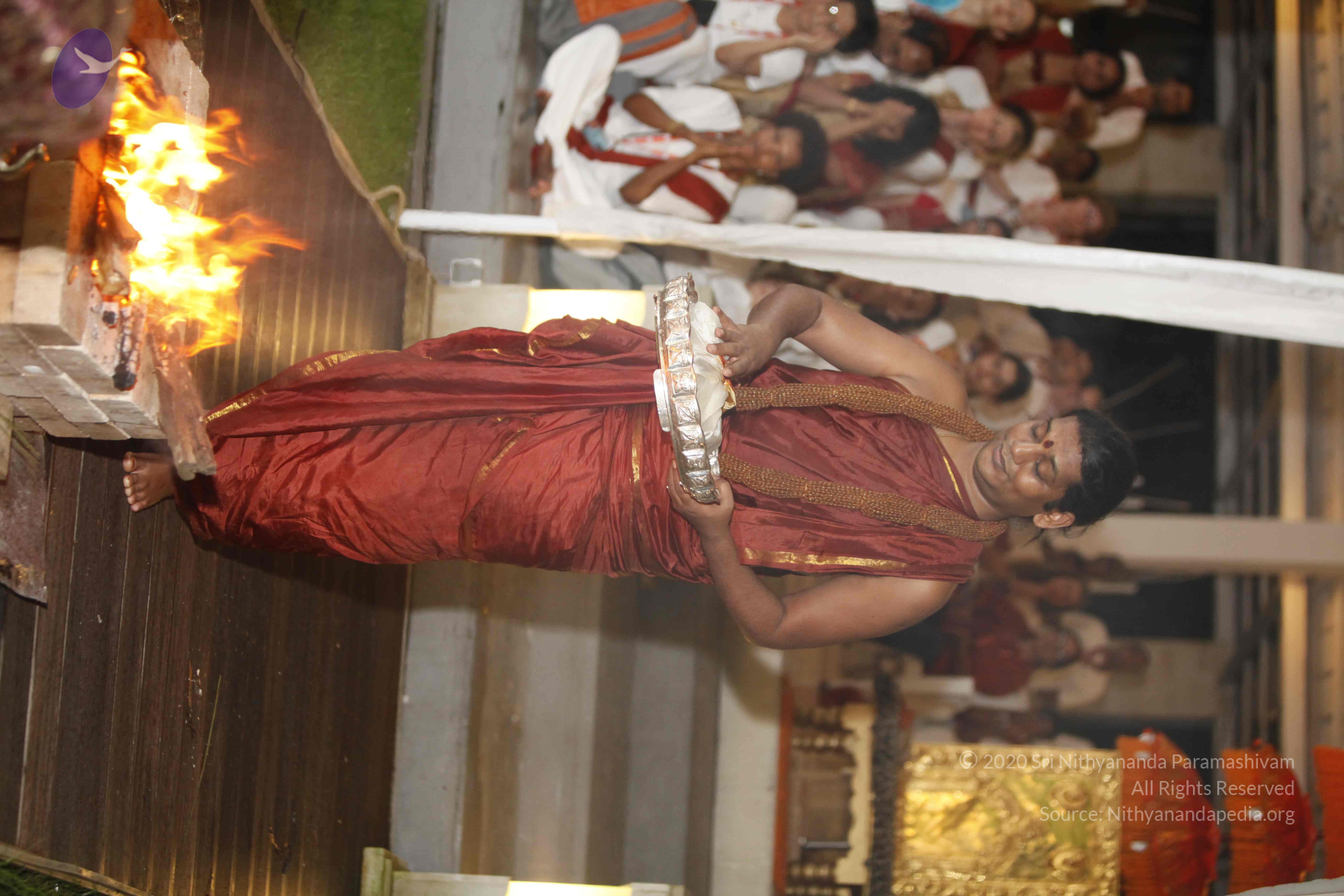 20131220_Photo_1002__MG_7694_CMP_WM