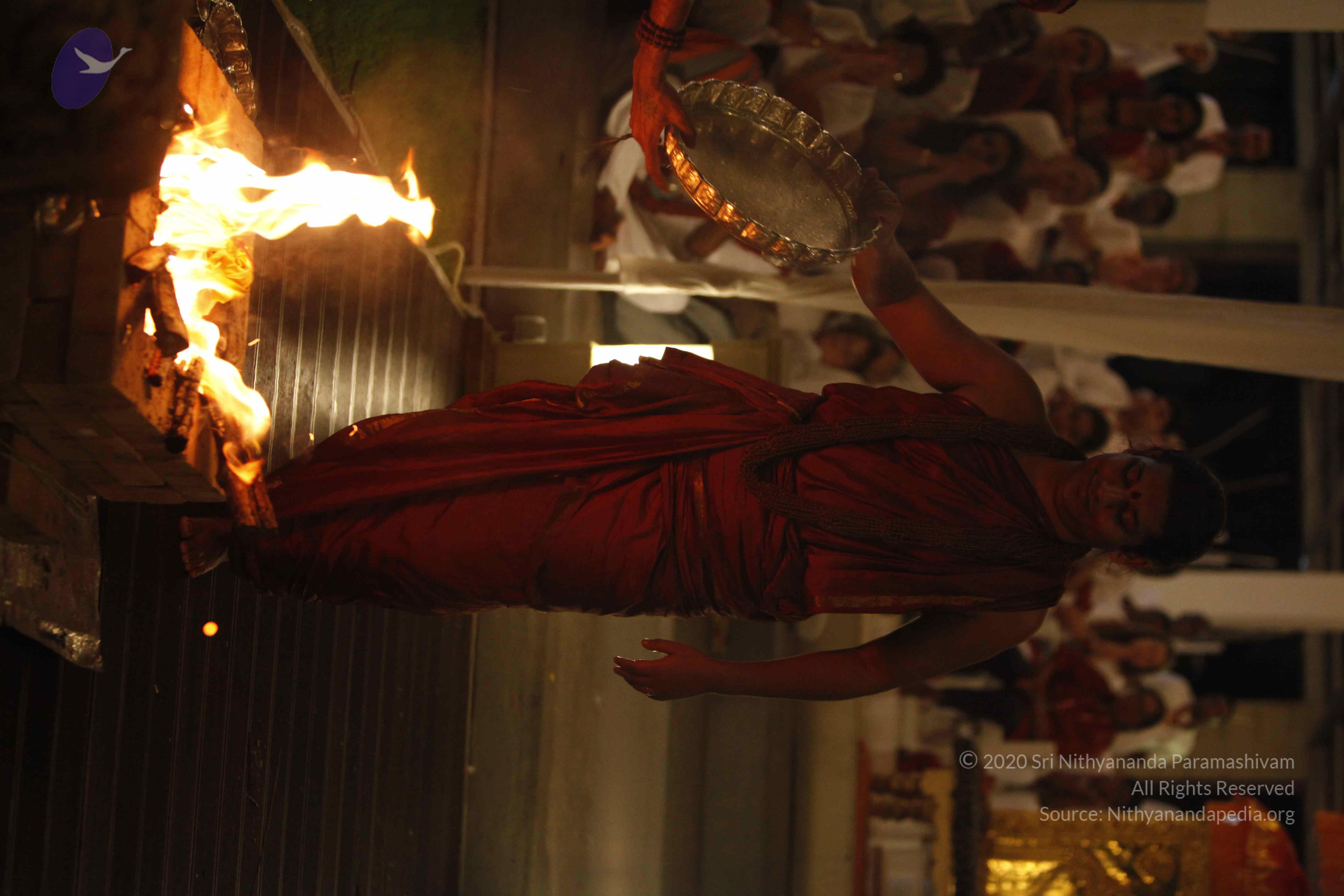 20131220_Photo_1004__MG_7699_CMP_WM