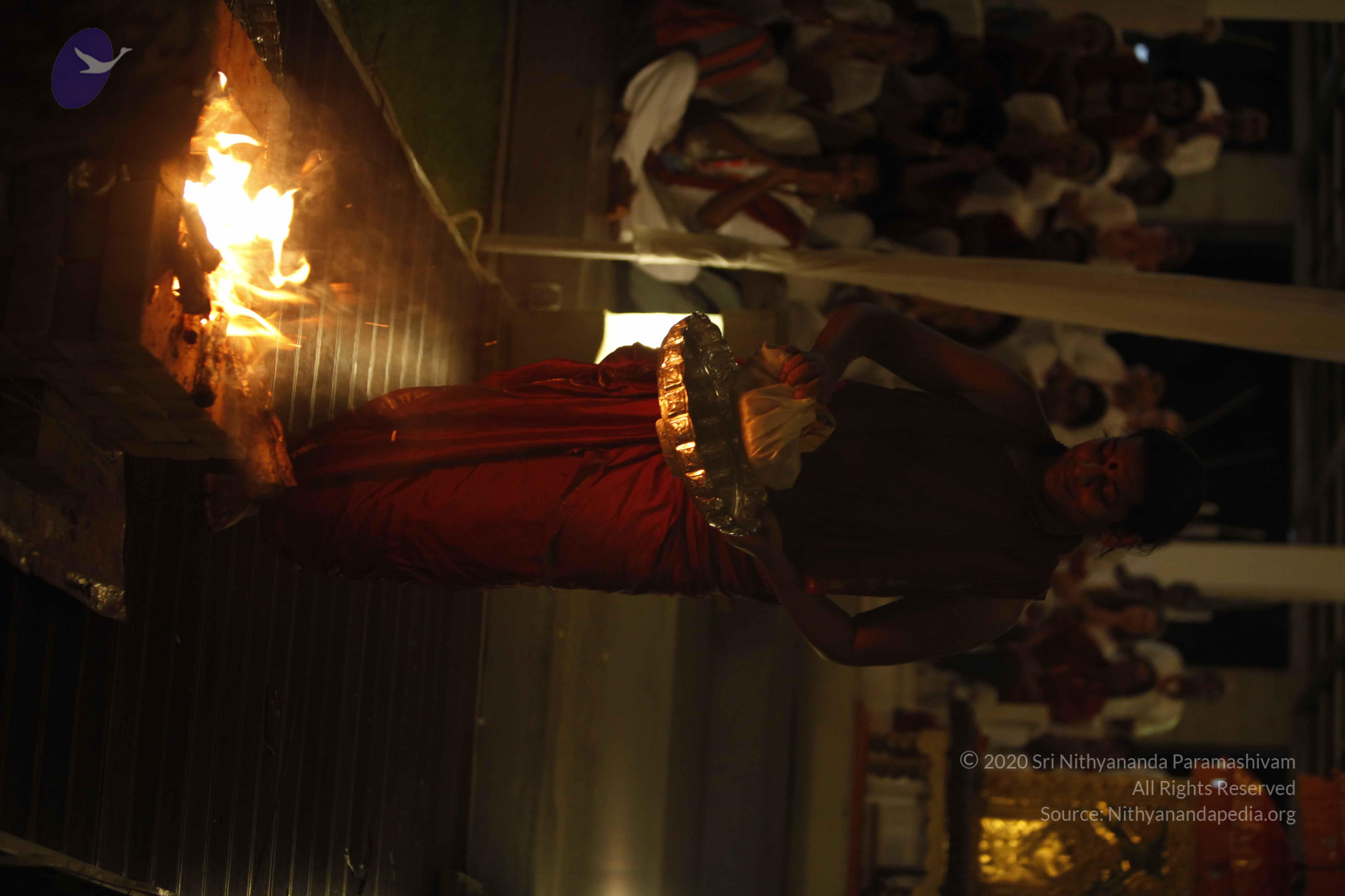 20131220_Photo_1010__MG_7695_CMP_WM