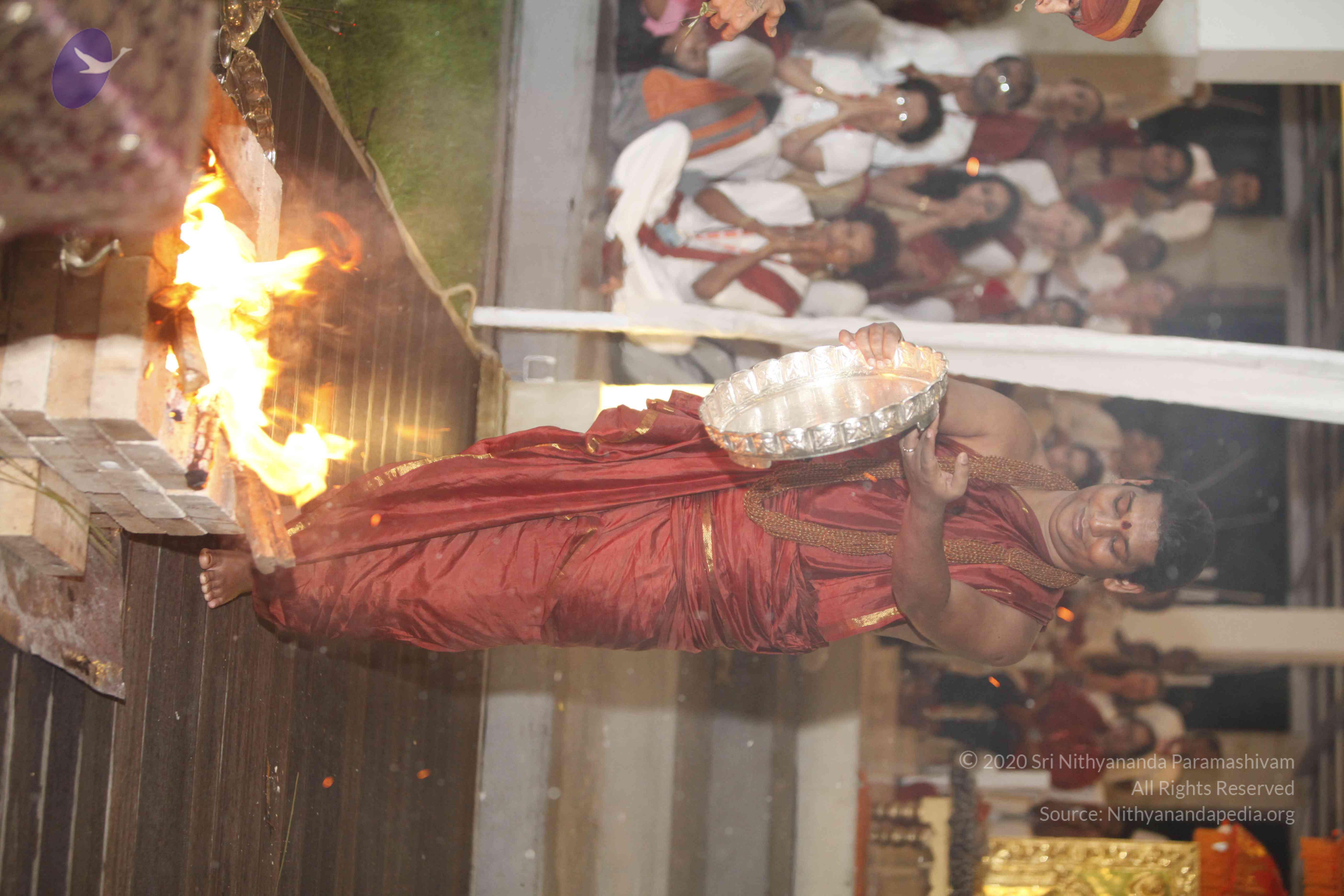 20131220_Photo_1012__MG_7698_CMP_WM