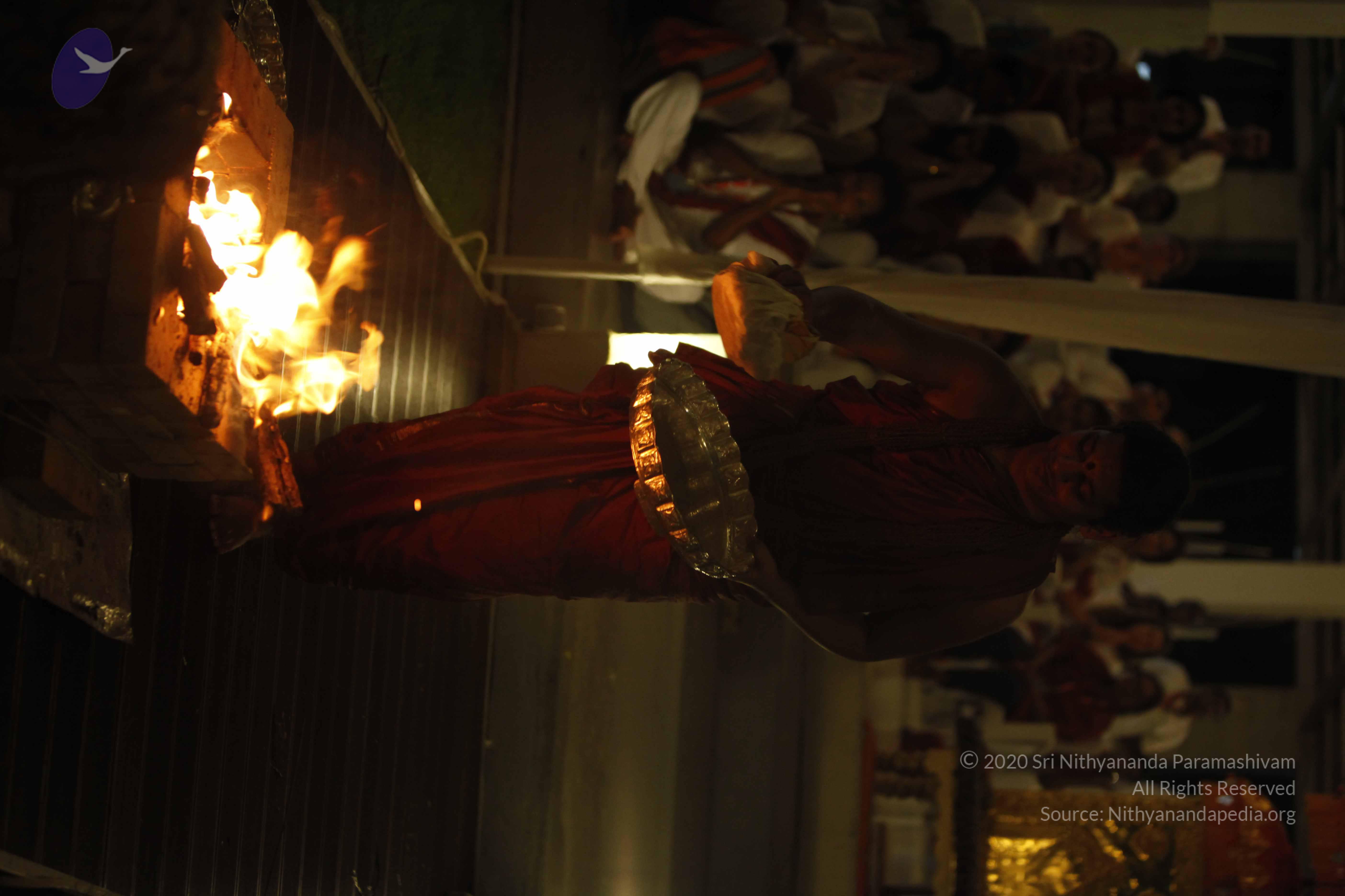 20131220_Photo_1015__MG_7697_CMP_WM