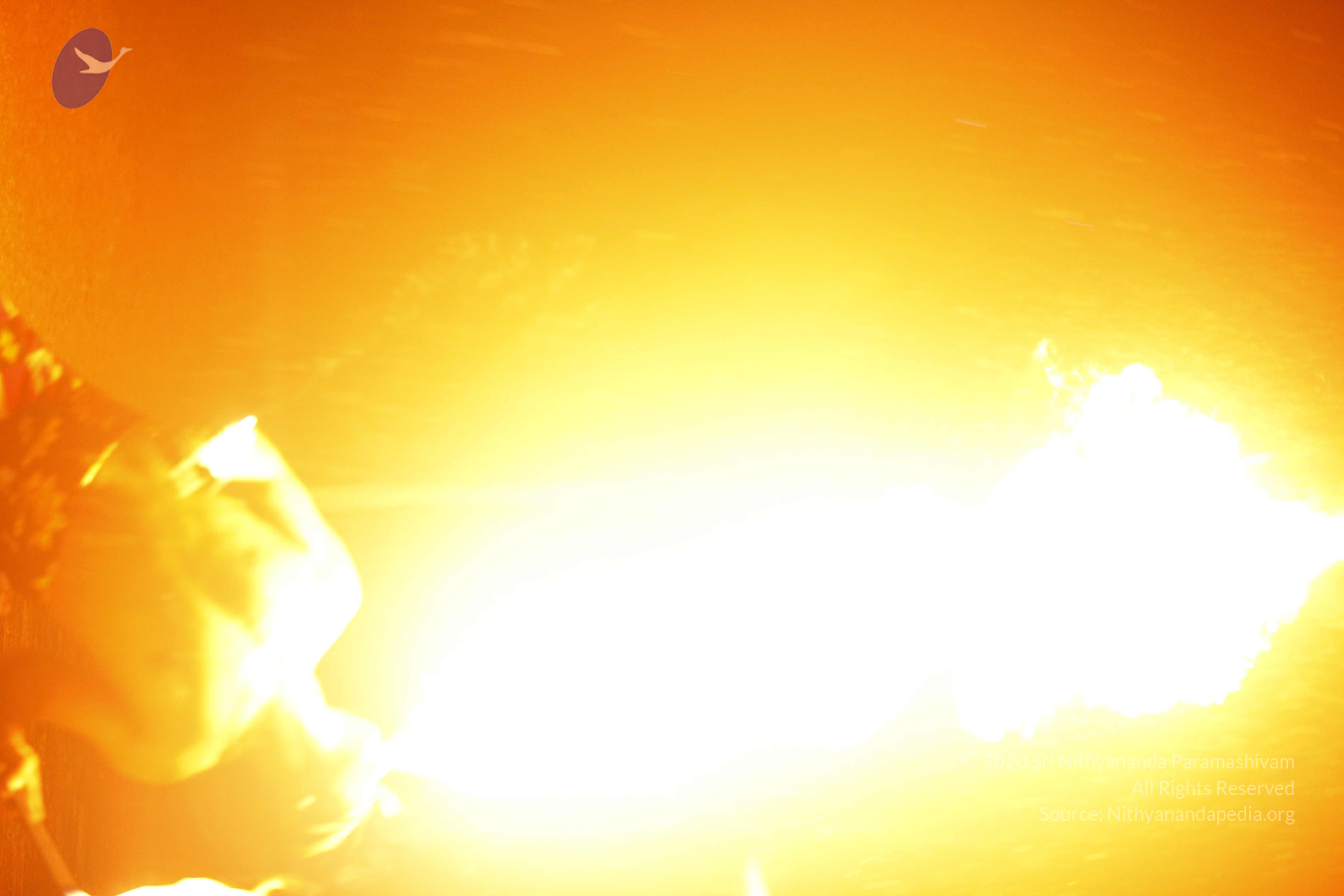 20131220_Photo_1008__MG_7923_CMP_WM