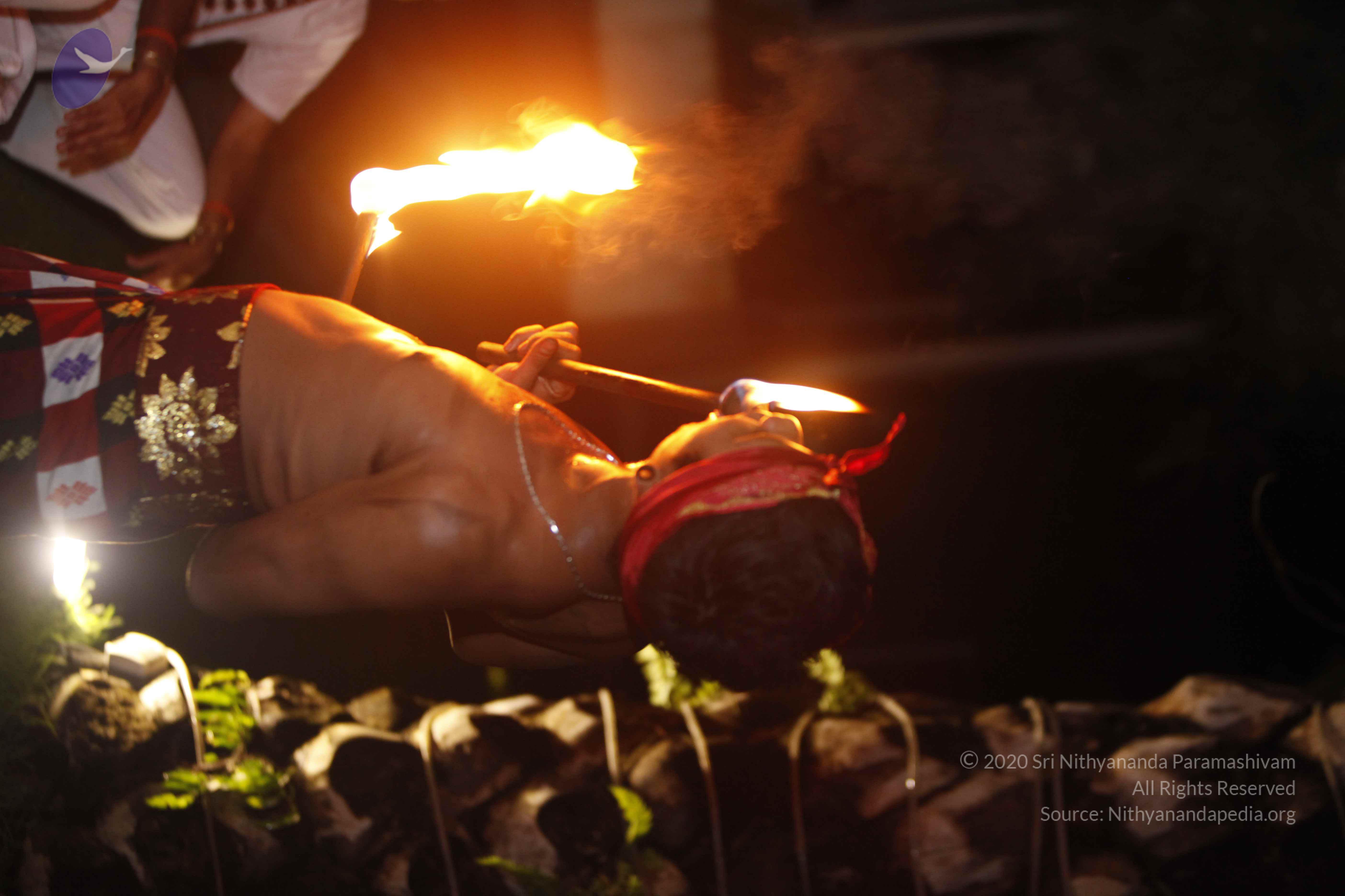 20131220_Photo_1015__MG_7937_CMP_WM