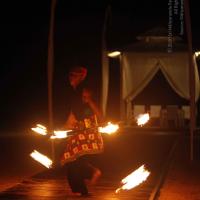 20131220_Photo_1032__MG_7883_CMP_WM