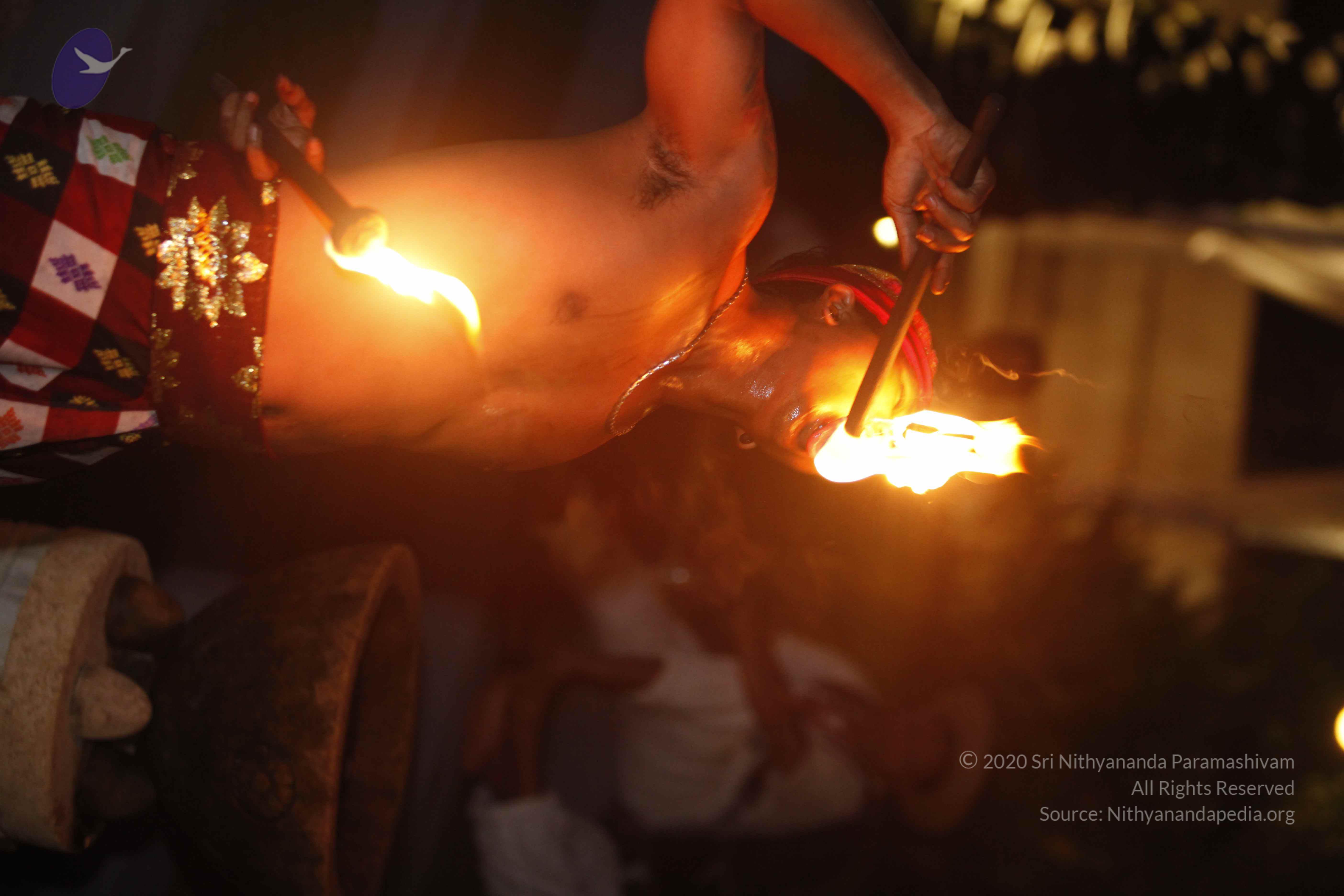 20131220_Photo_1035__MG_7946_CMP_WM