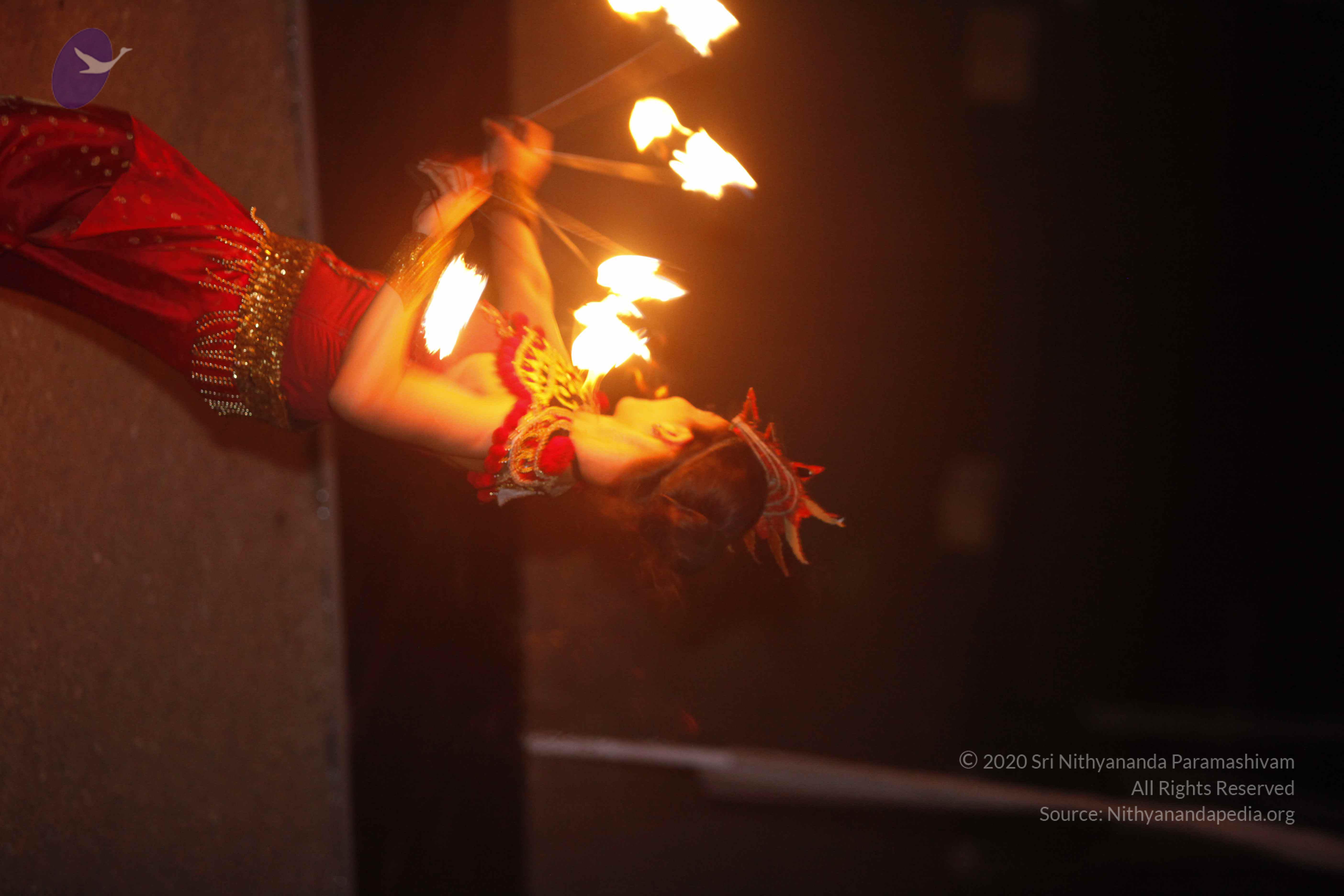 20131220_Photo_1037__MG_7807_CMP_WM