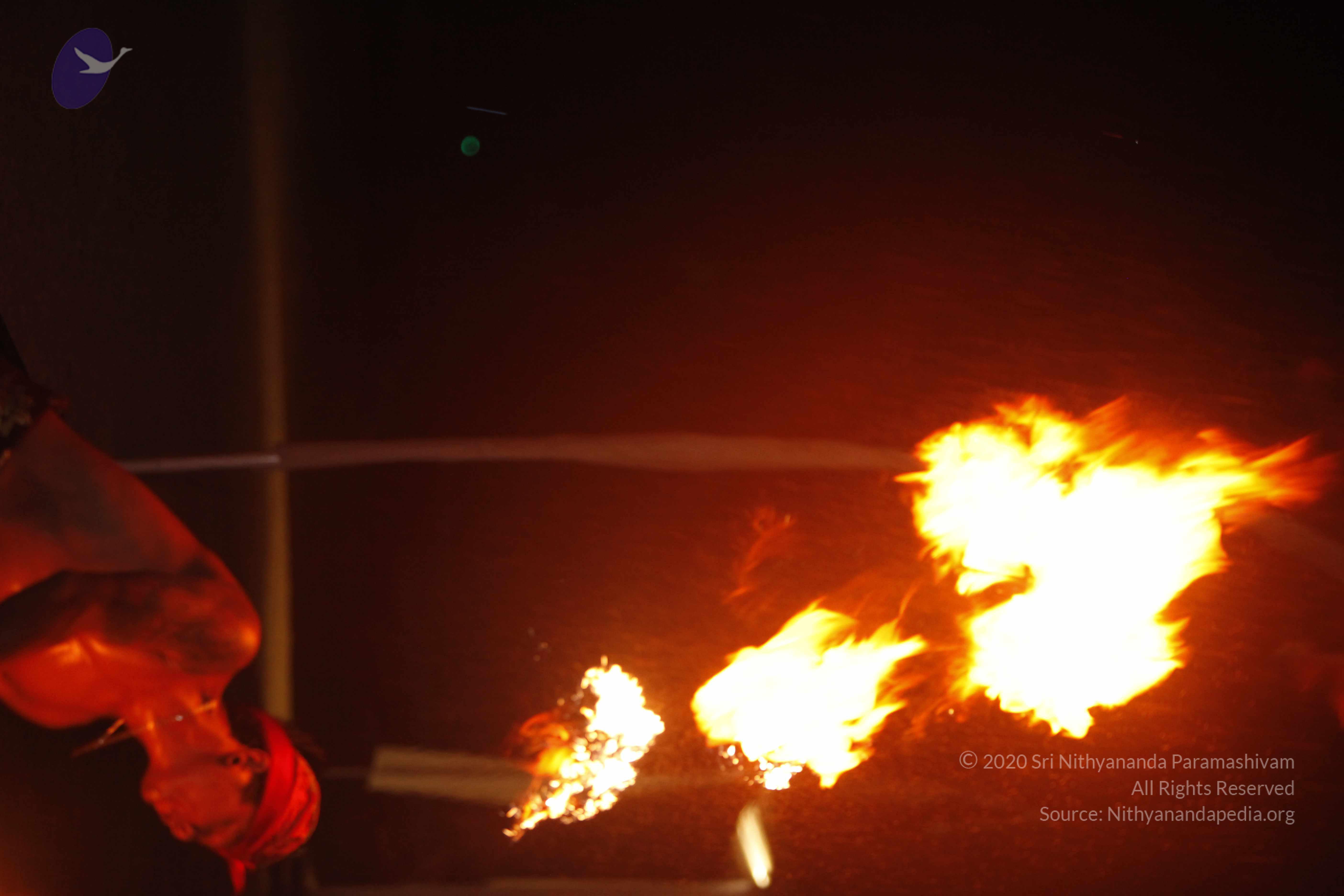 20131220_Photo_1038__MG_7924_CMP_WM