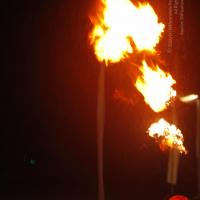 20131220_Photo_1038__MG_7924_CMP_WM