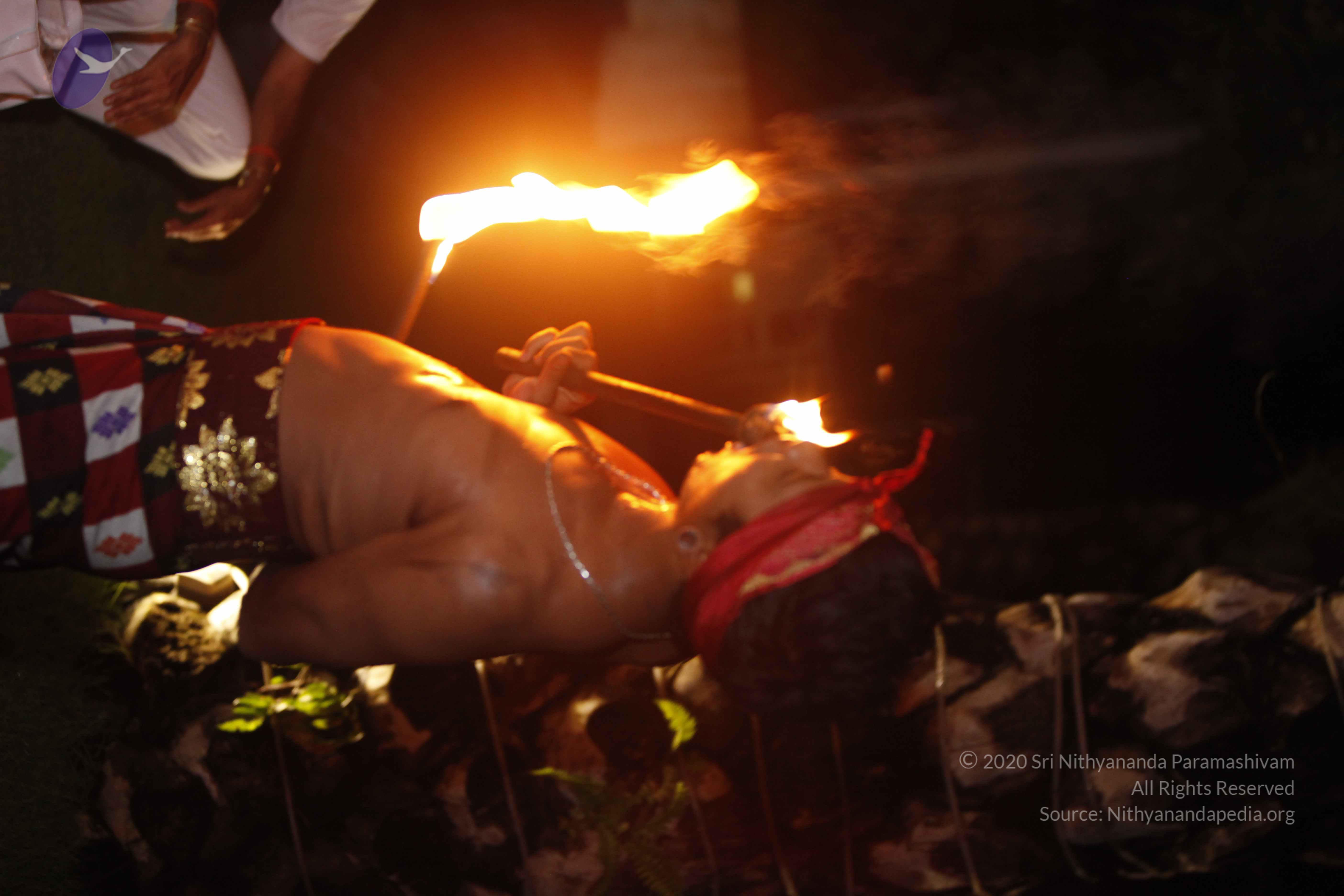 20131220_Photo_1040__MG_7938_CMP_WM