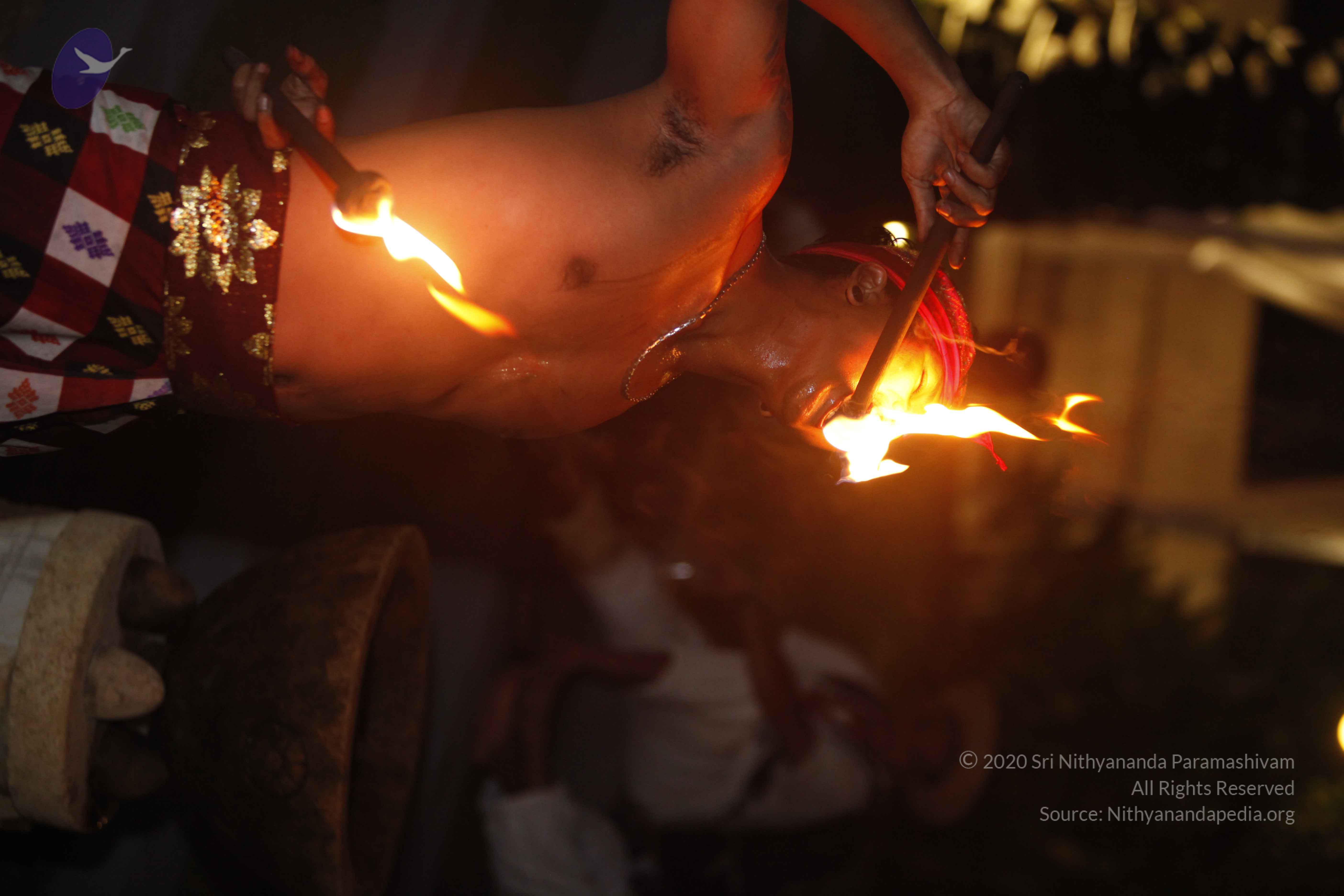 20131220_Photo_1051__MG_7945_CMP_WM