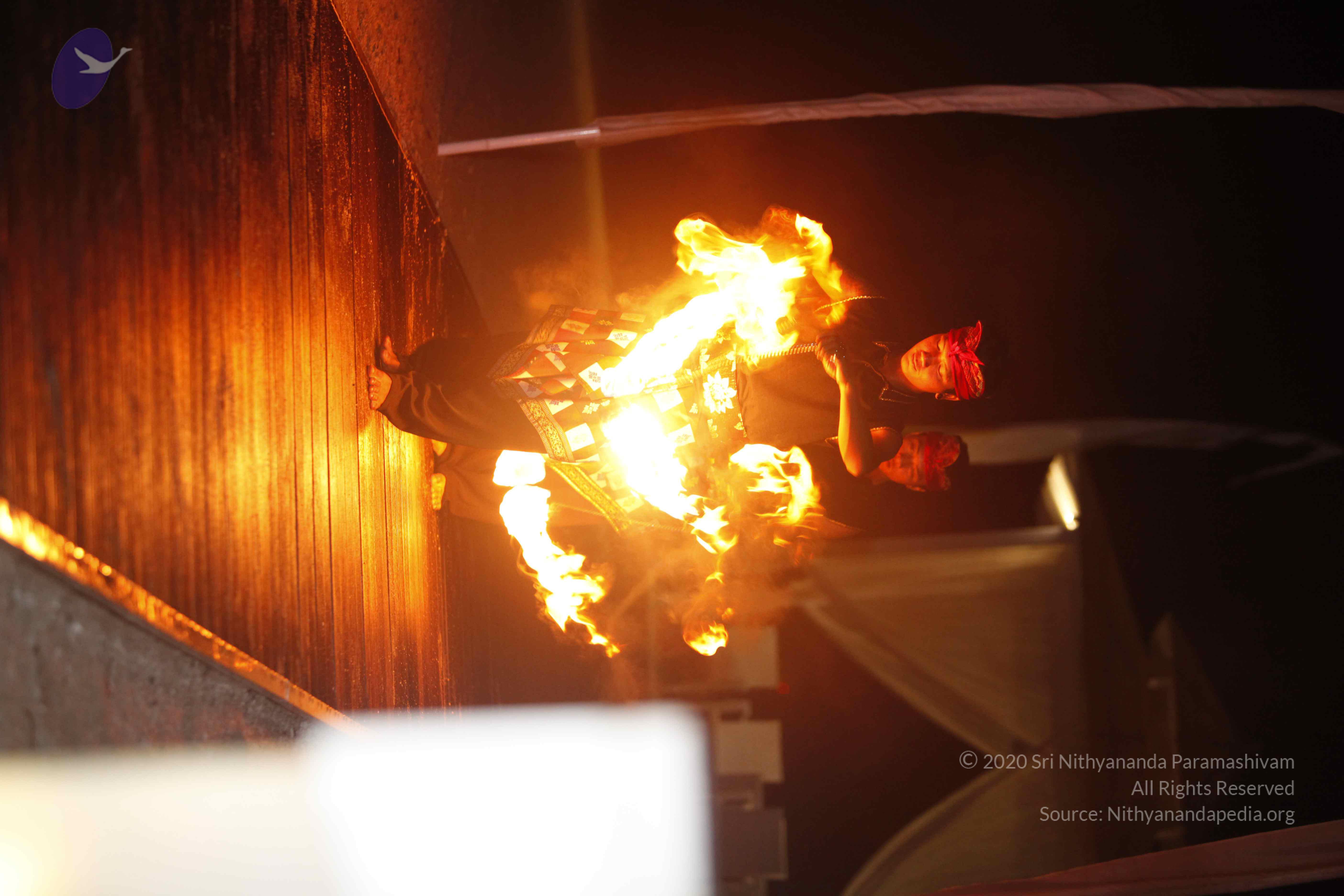 20131220_Photo_1053__MG_7822_CMP_WM