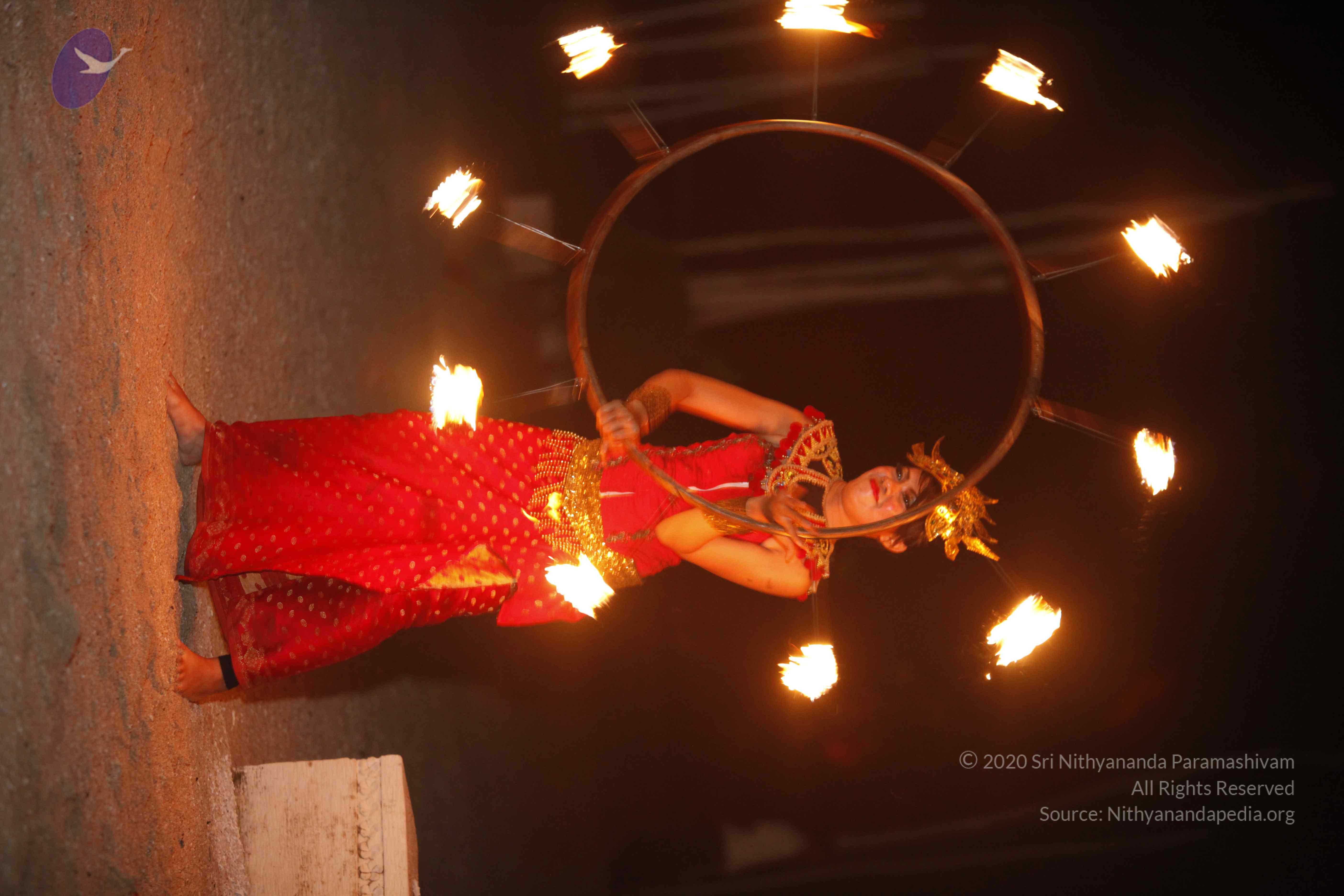 20131220_Photo_1059__MG_7904_CMP_WM