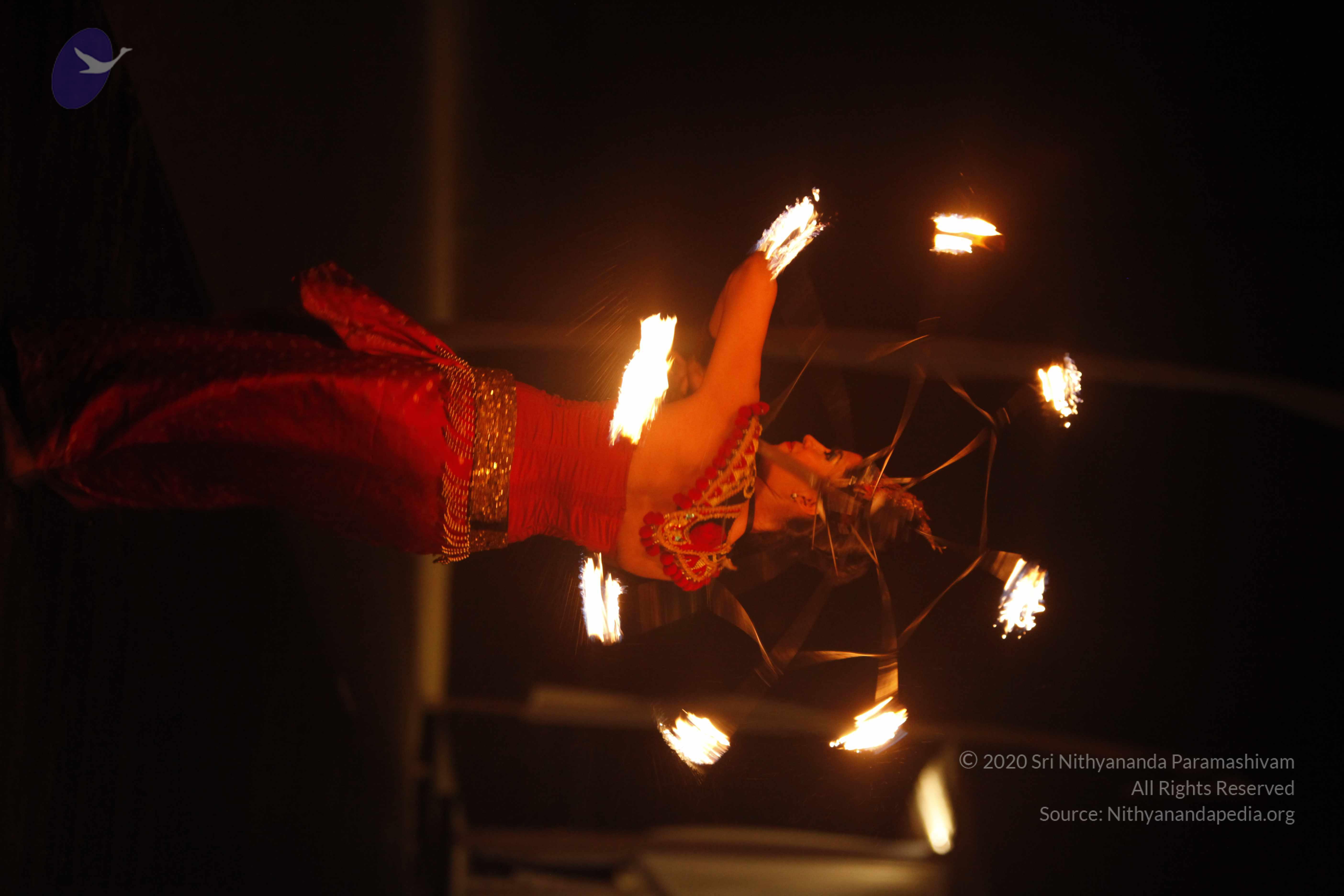 20131220_Photo_1061__MG_7951_CMP_WM