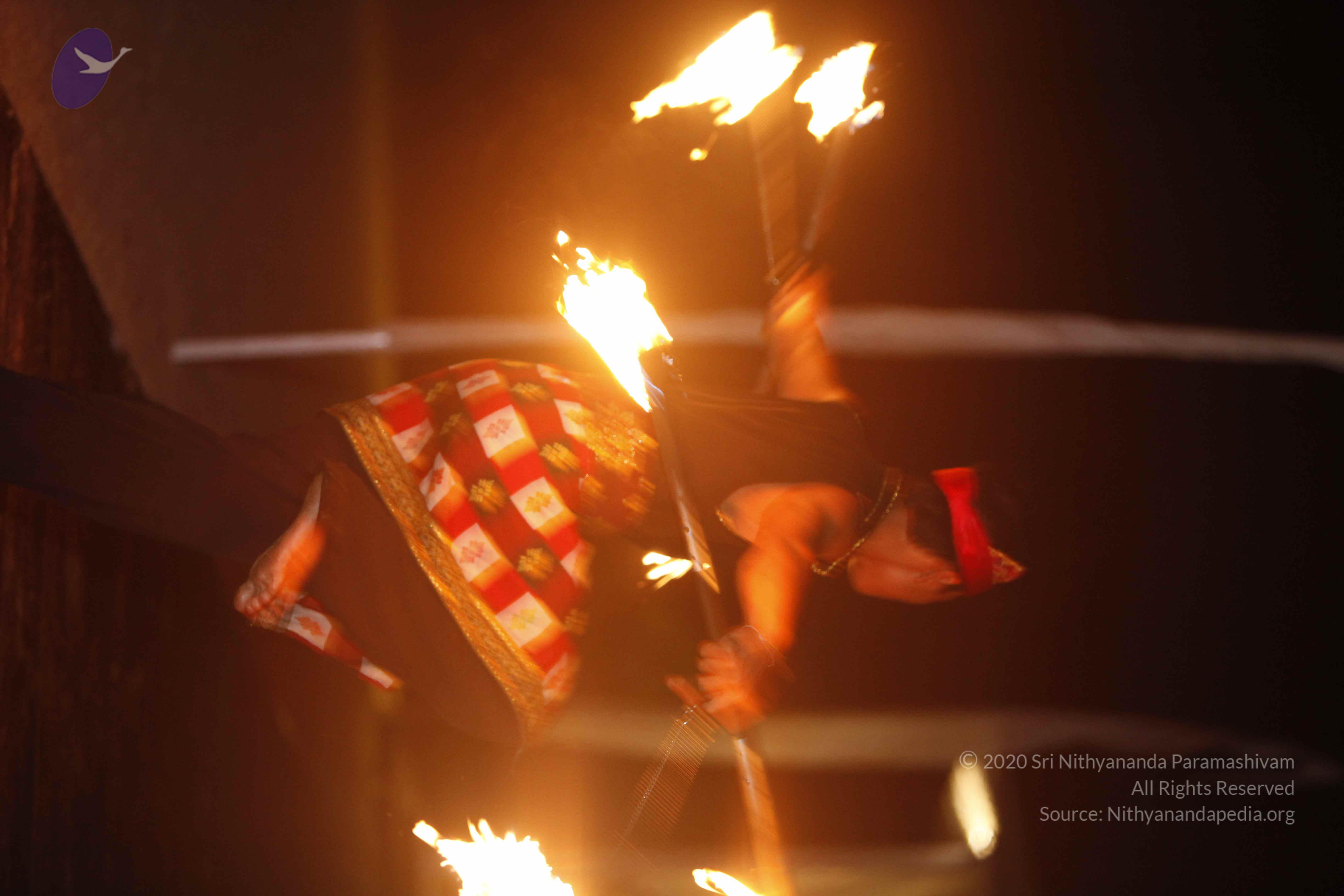 20131220_Photo_1065__MG_7880_CMP_WM