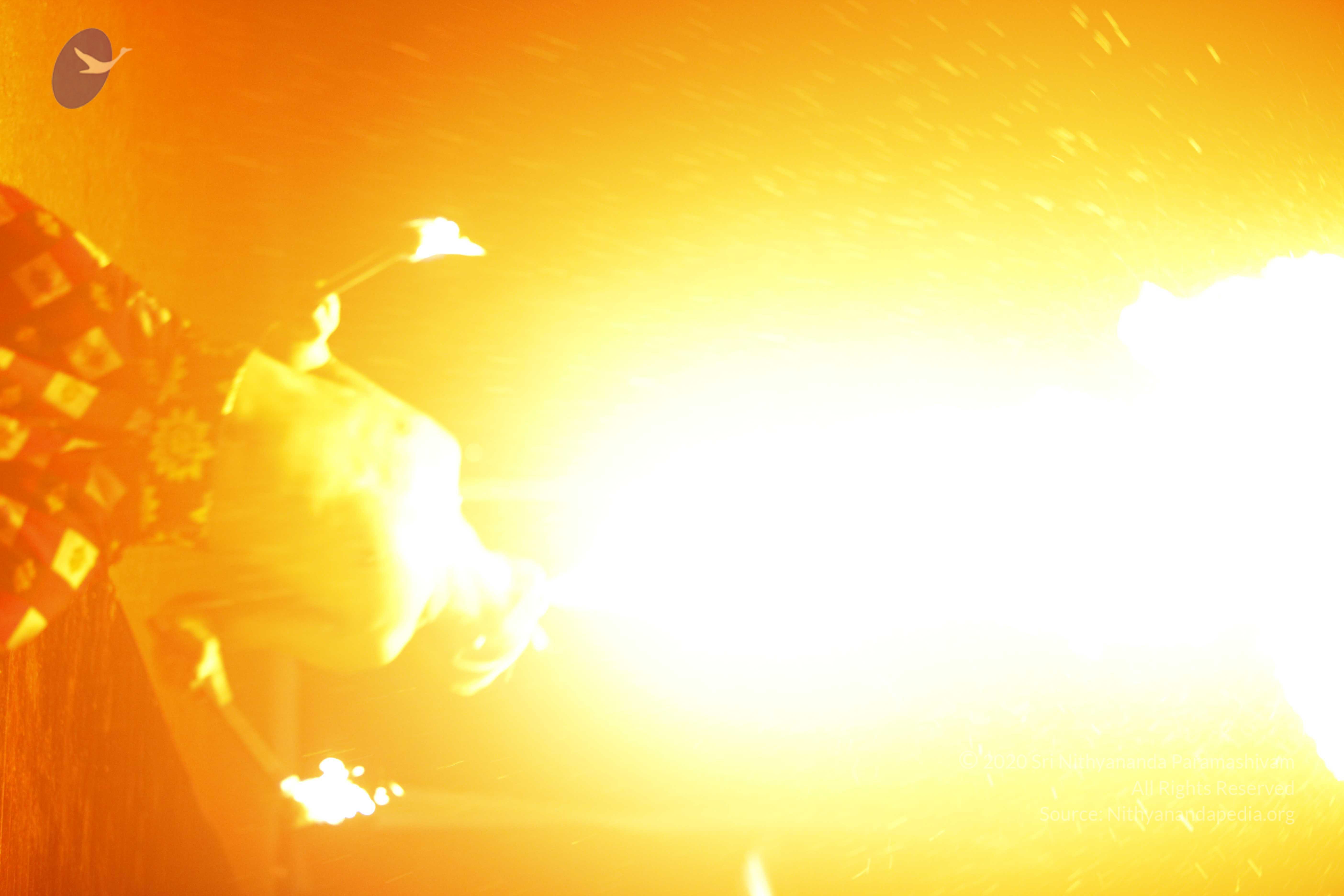 20131220_Photo_1071__MG_7922_CMP_WM