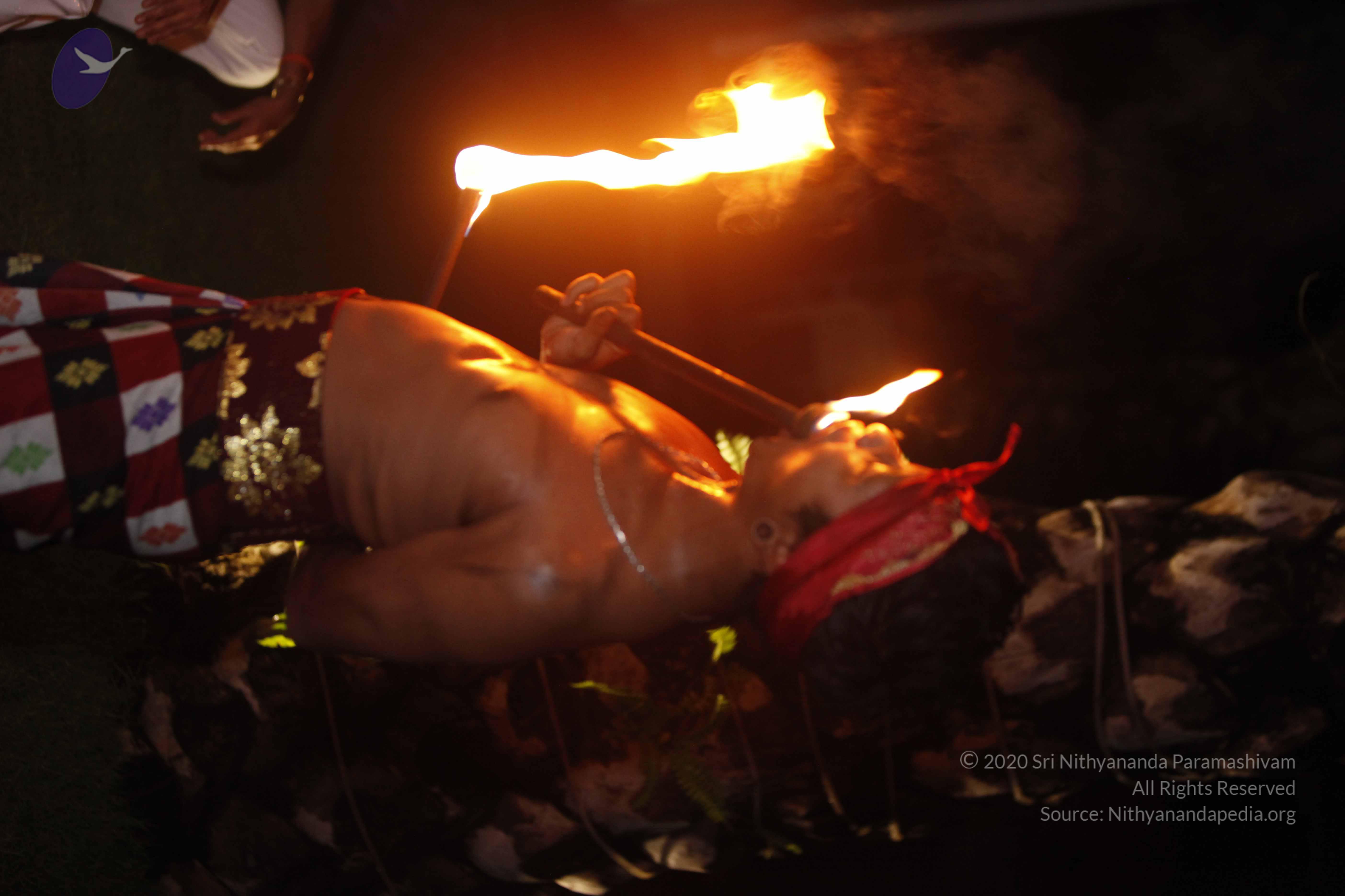 20131220_Photo_1078__MG_7939_CMP_WM