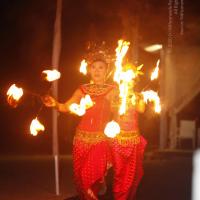 20131220_Photo_1082__MG_7817_CMP_WM