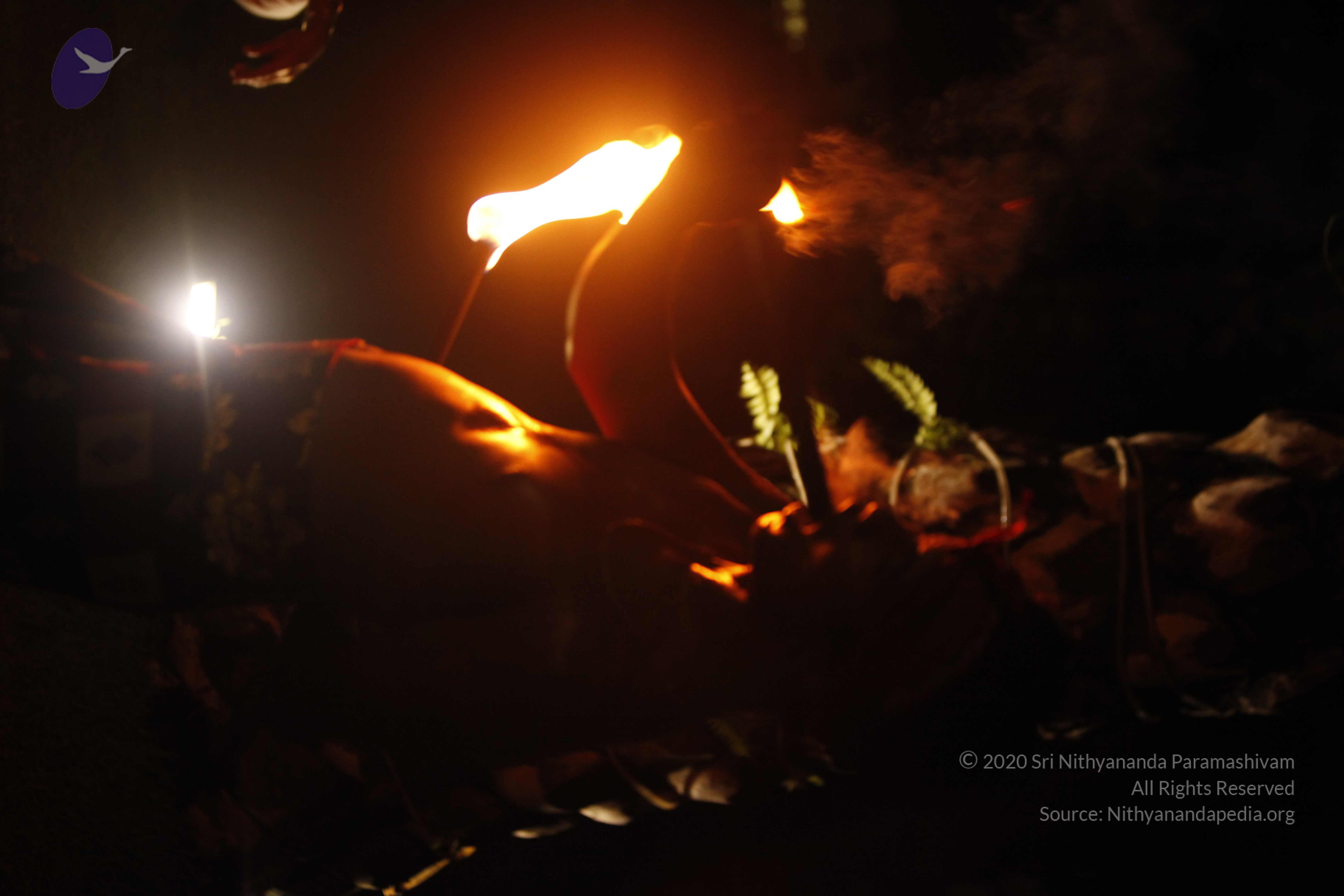 20131220_Photo_1090__MG_7942_CMP_WM