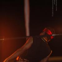 20131220_Photo_1091__MG_7856_CMP_WM