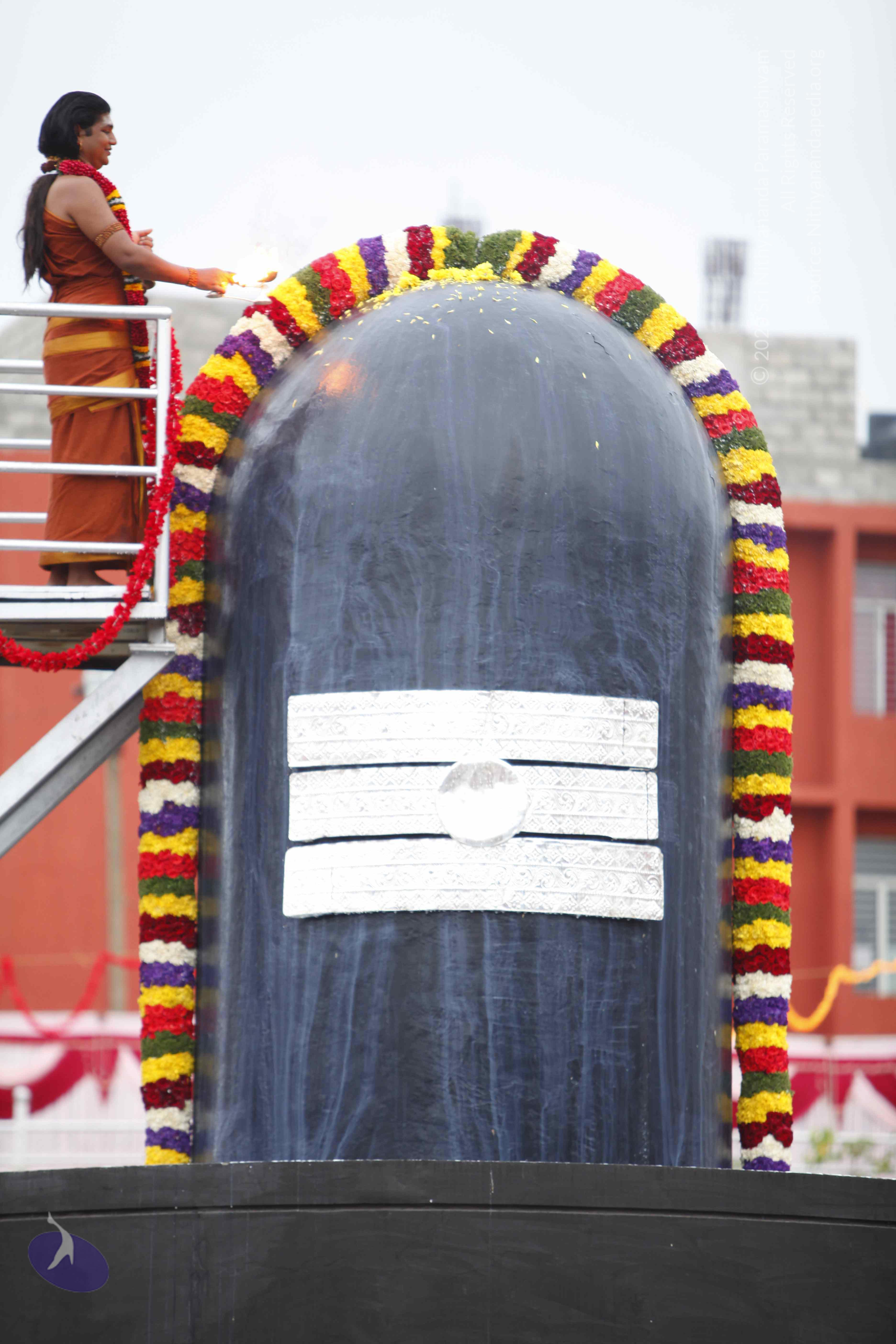 20130708_Photo_1003__MG_2363_CMP_WM