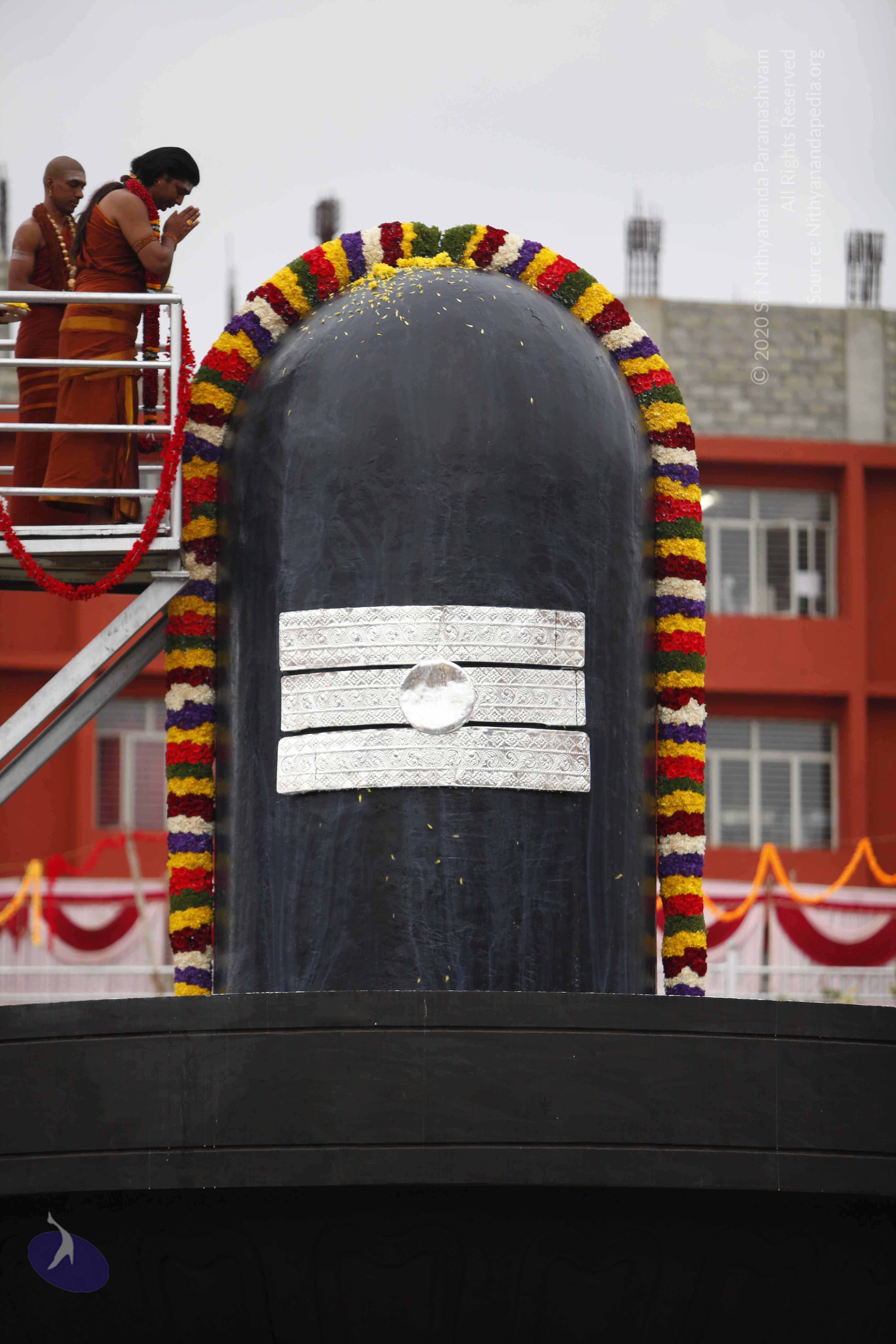 20130708_Photo_1009__MG_2372_CMP_WM