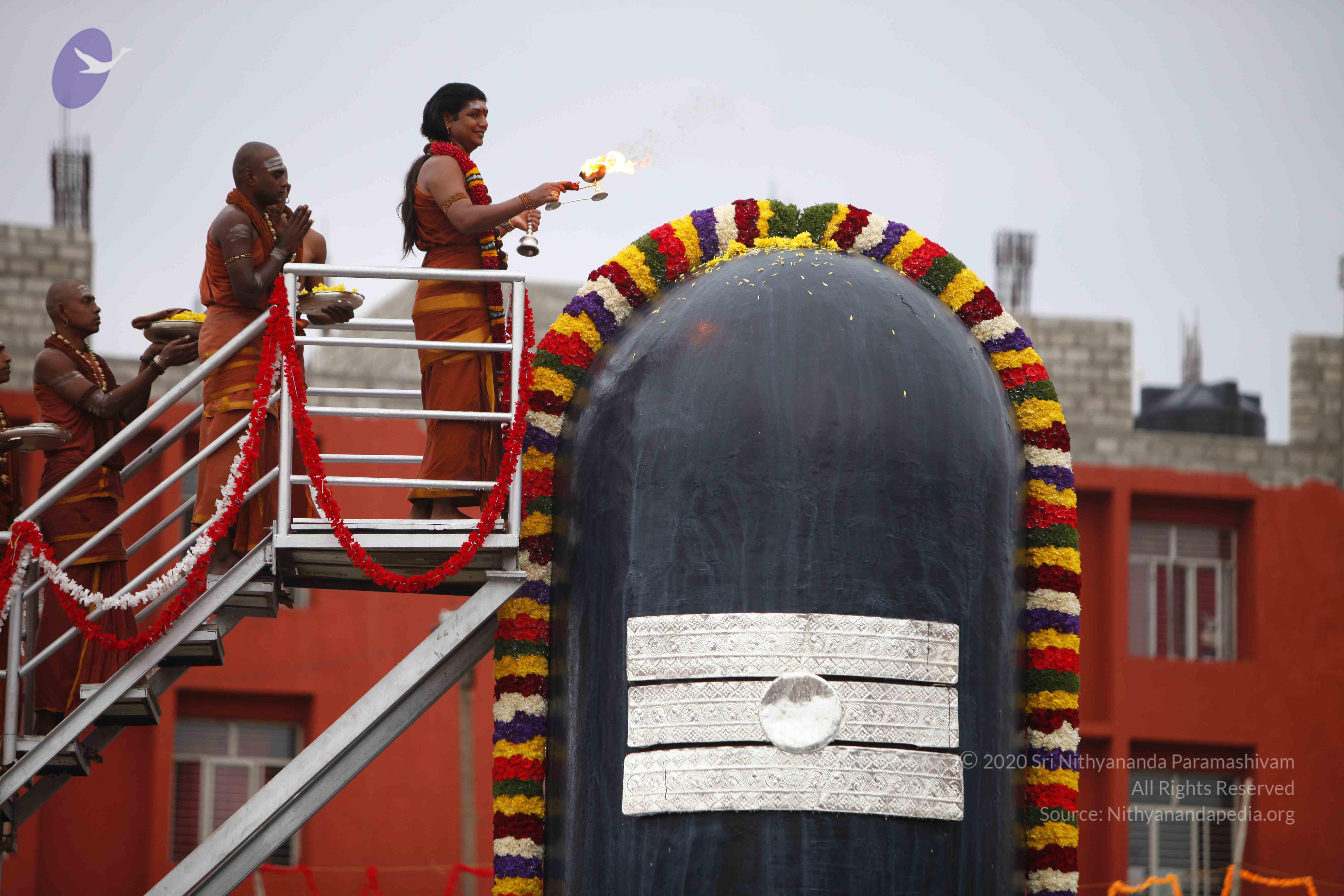 20130708_Photo_1021__MG_2366_CMP_WM