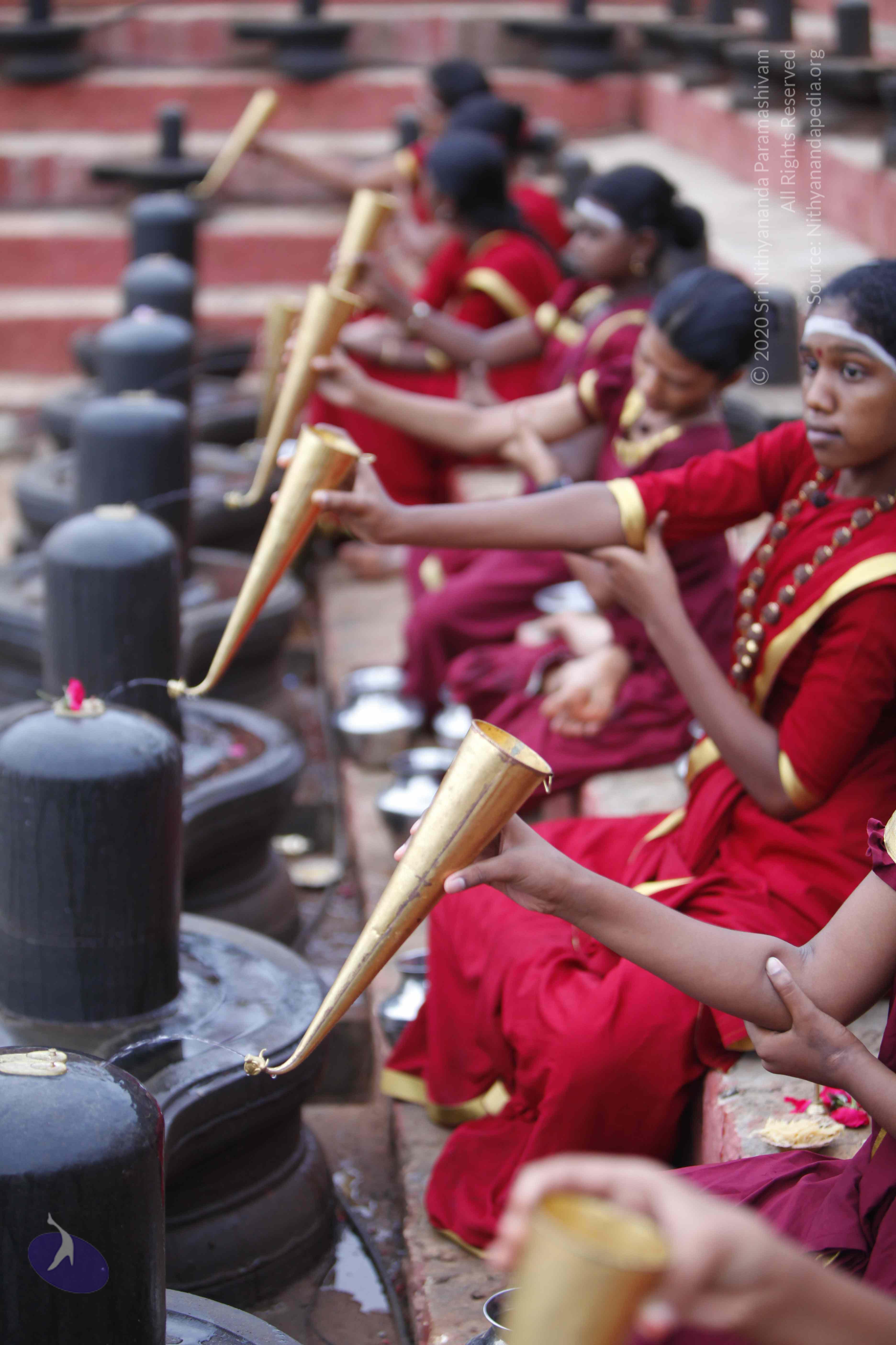 20130708_Photo_1023__MG_2334_CMP_WM