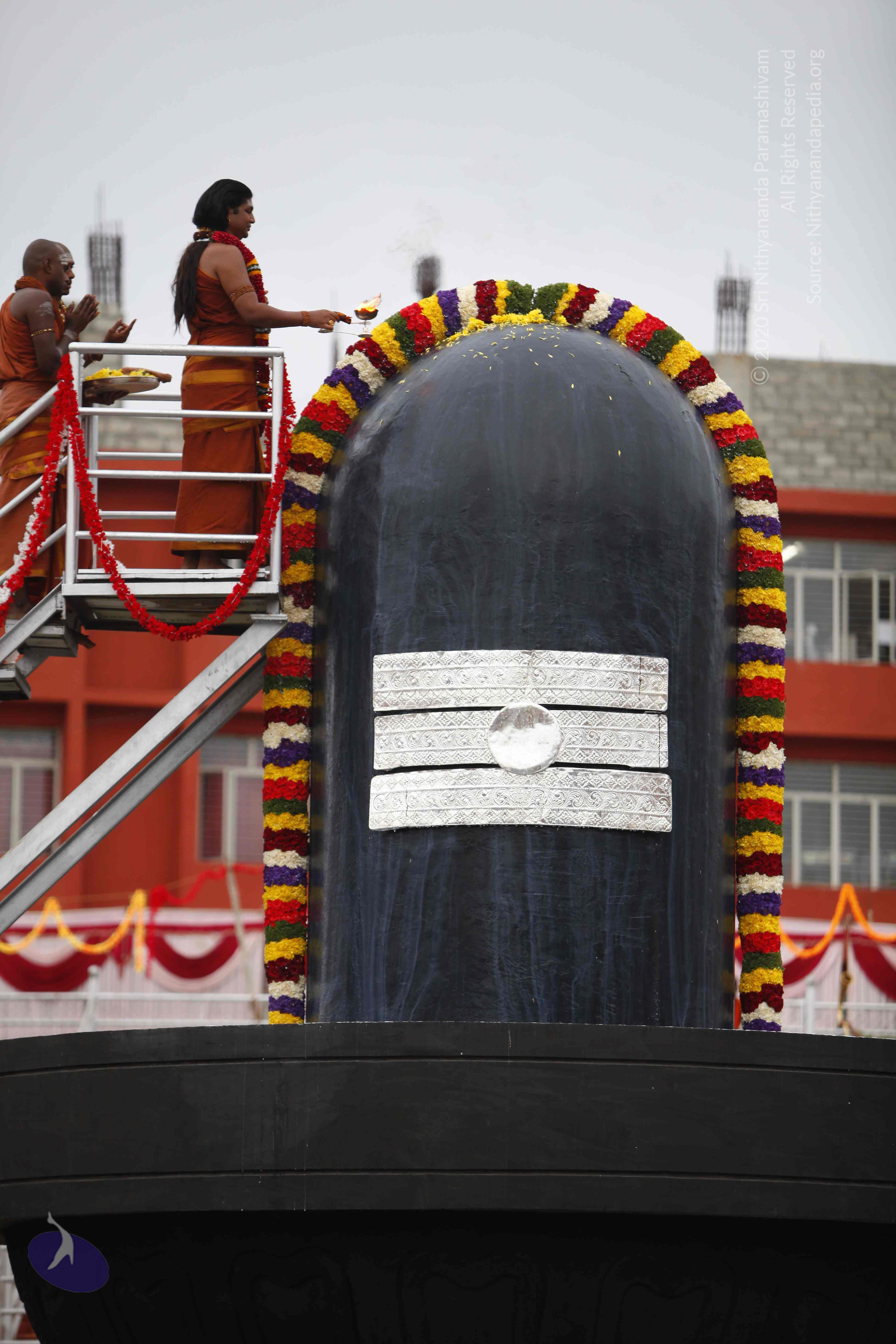 20130708_Photo_1036__MG_2369_CMP_WM